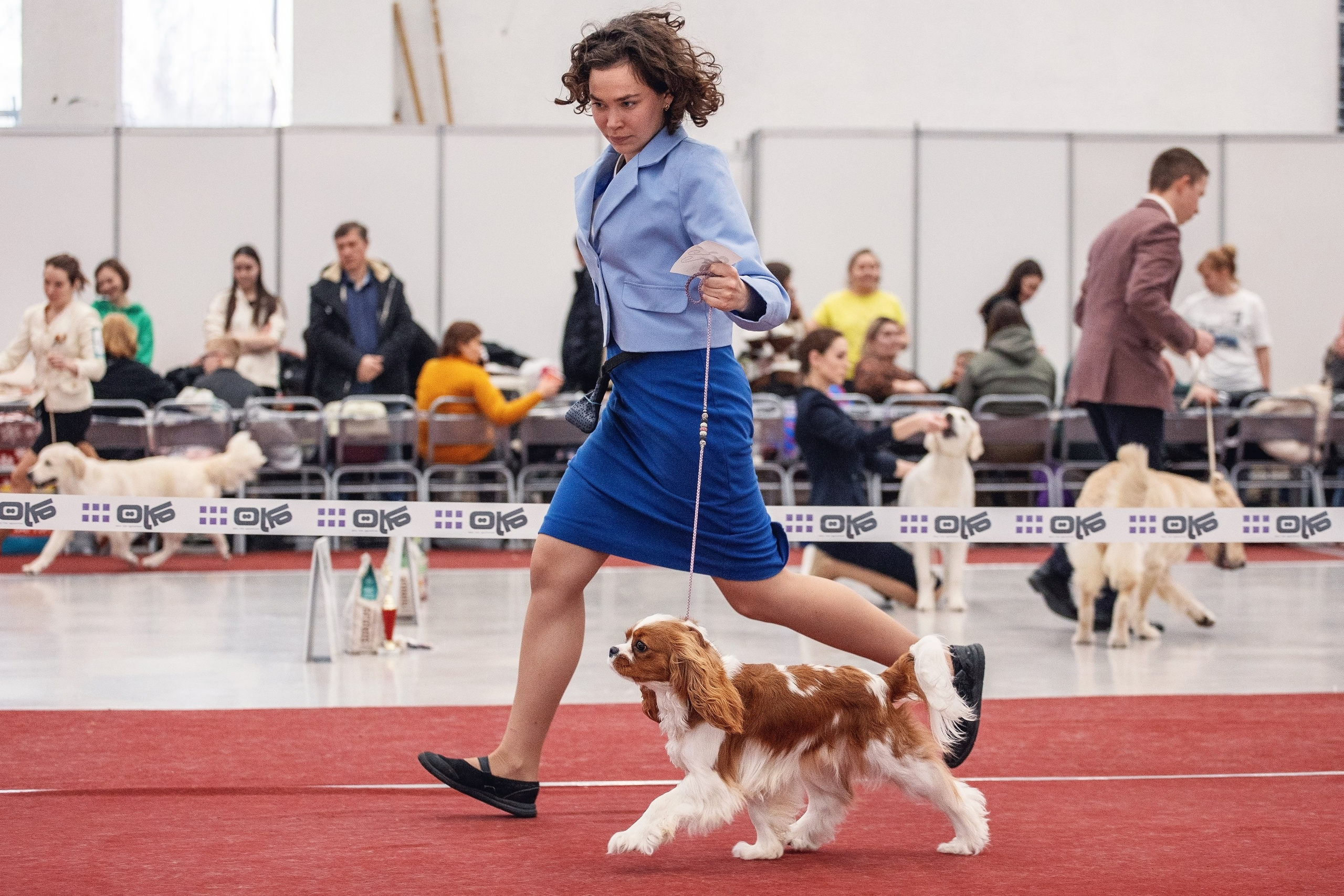 20.01. 2024 Тюмень. YULA KOLESOVA | Фотограф — Анималист | Художник | Тюмень