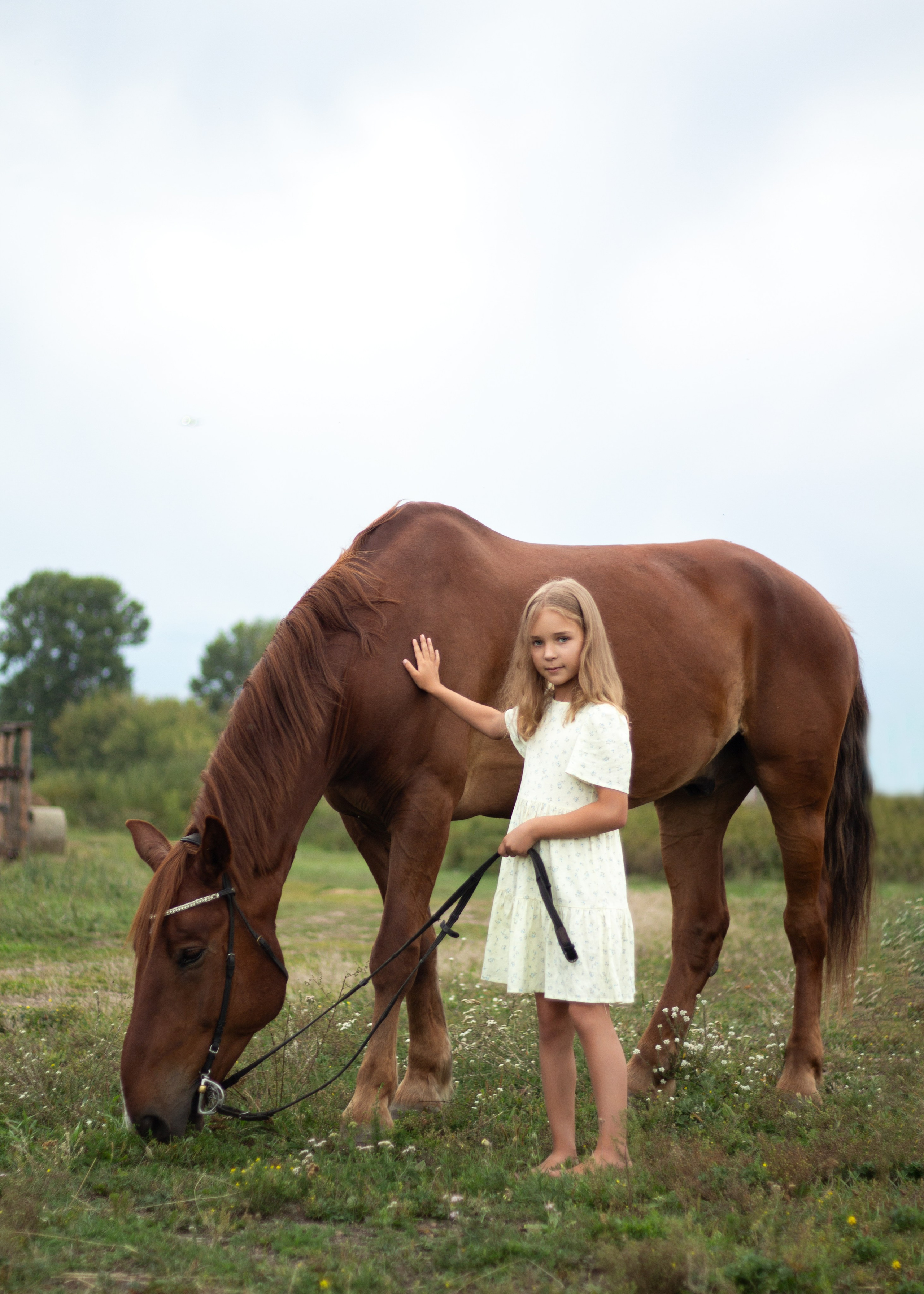 Екатерина и Янтарь. Фотограф в Иркутске, Харитонова Елизавета