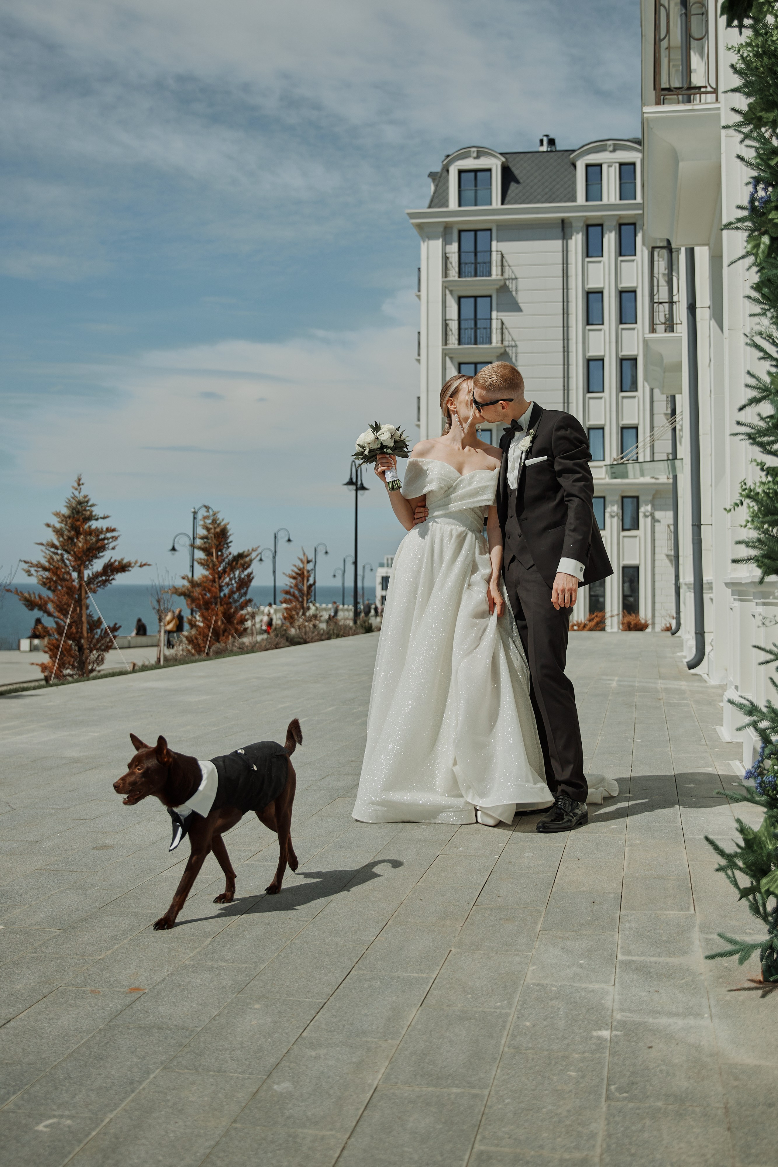 Жених и невеста с собакой в Анапе