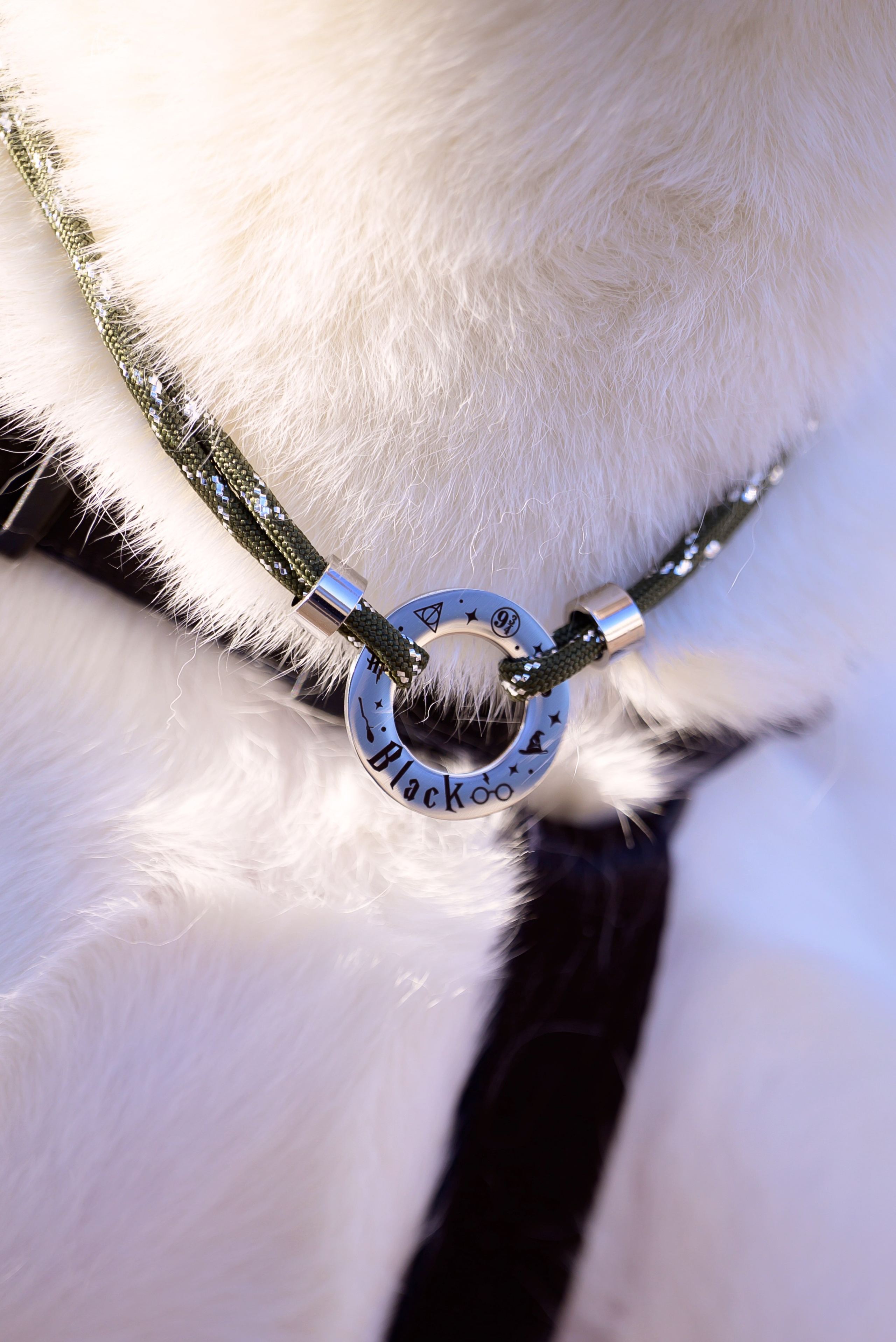 Geronimo.dogs. Мила Астахова