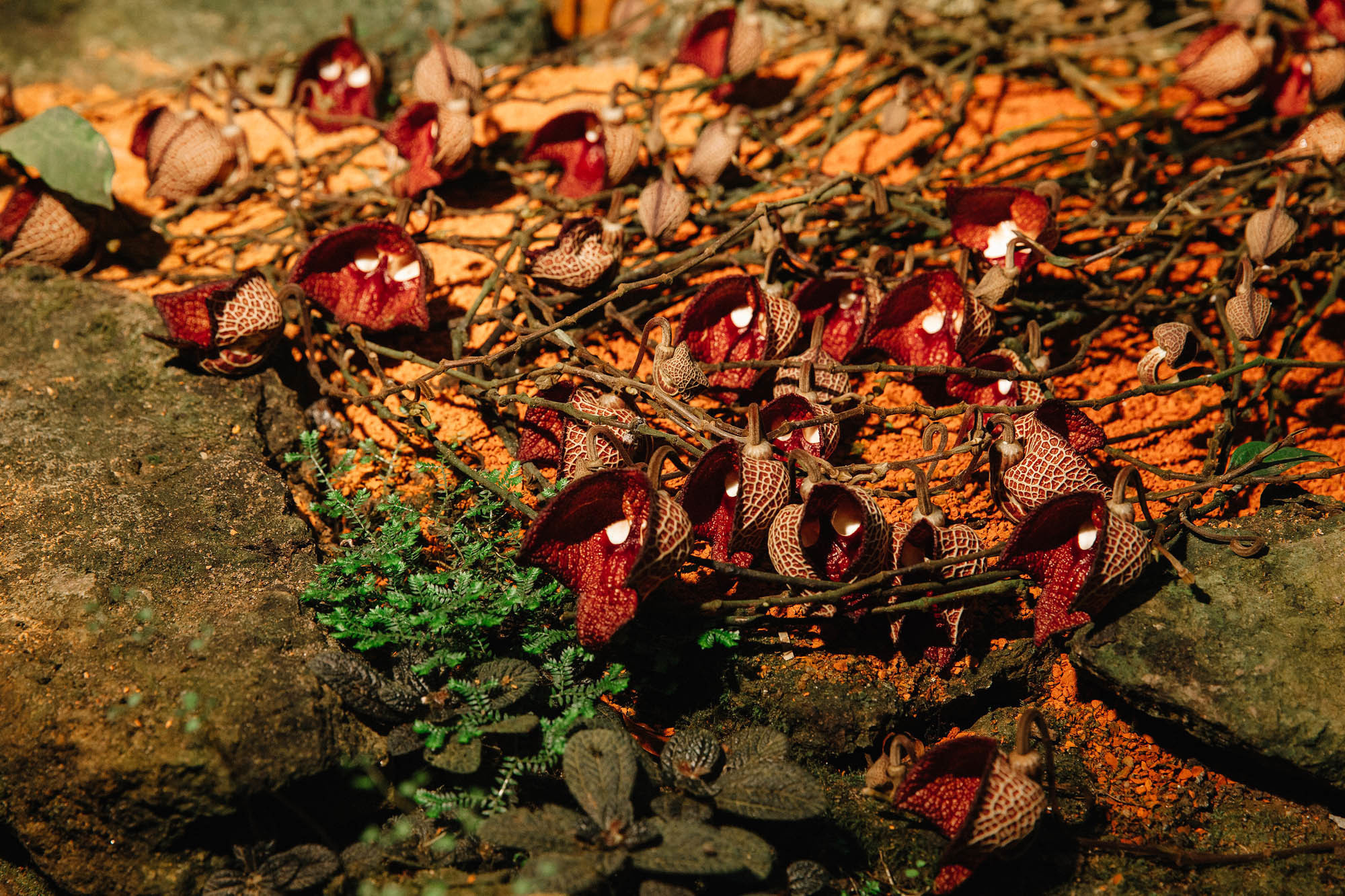 Свадебный день 13.09.18. Семейный и свадебный фотограф в Майкопе Михаил Мартиросян