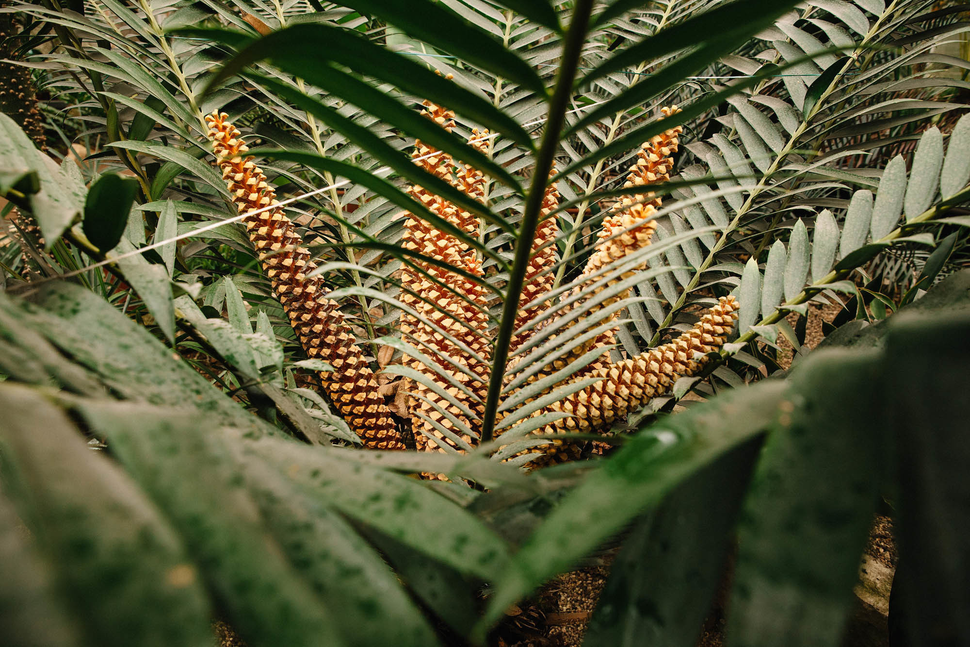 Свадебный день 13.09.18. Семейный и свадебный фотограф в Майкопе Михаил Мартиросян