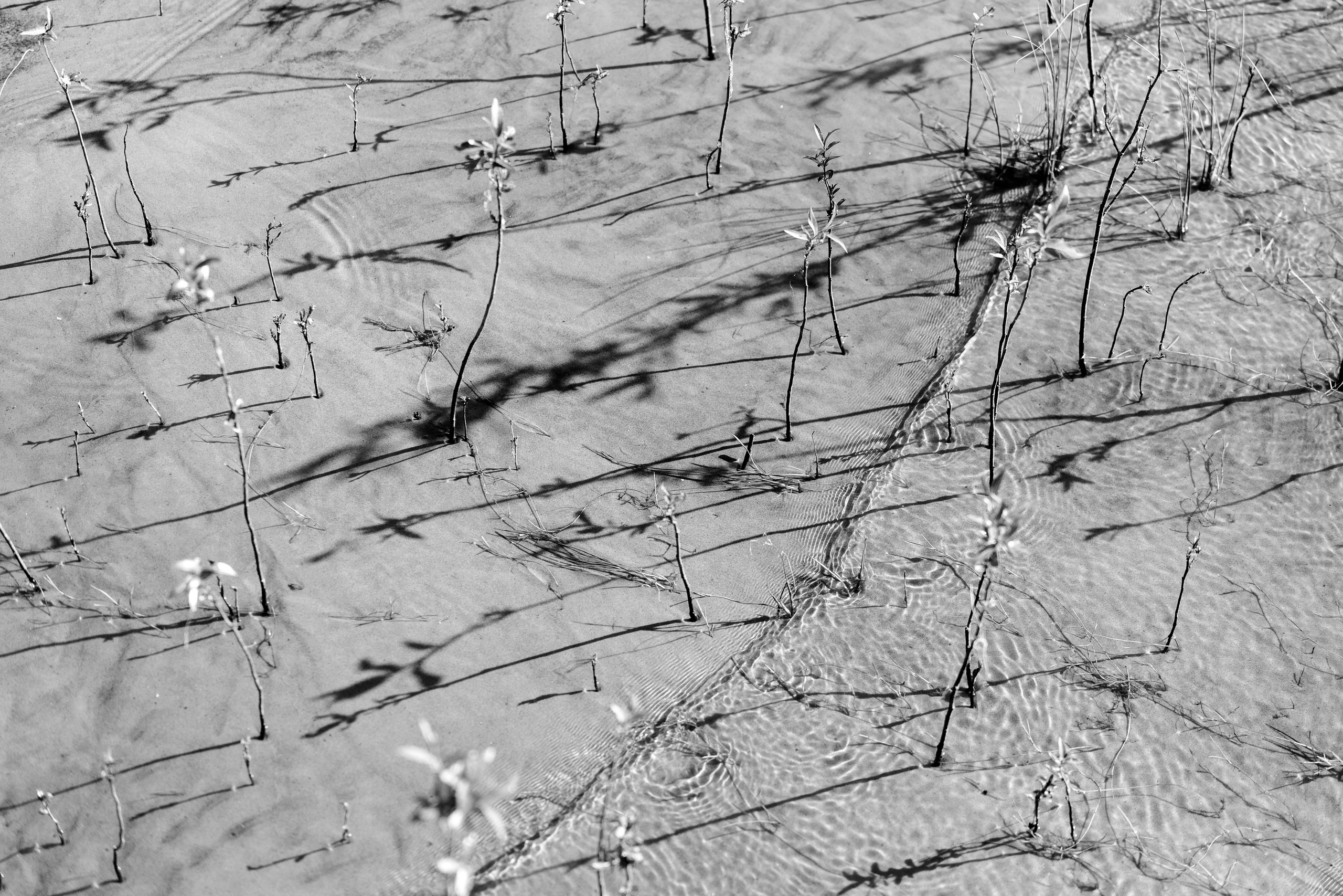 Фотографии Лены Соколовой