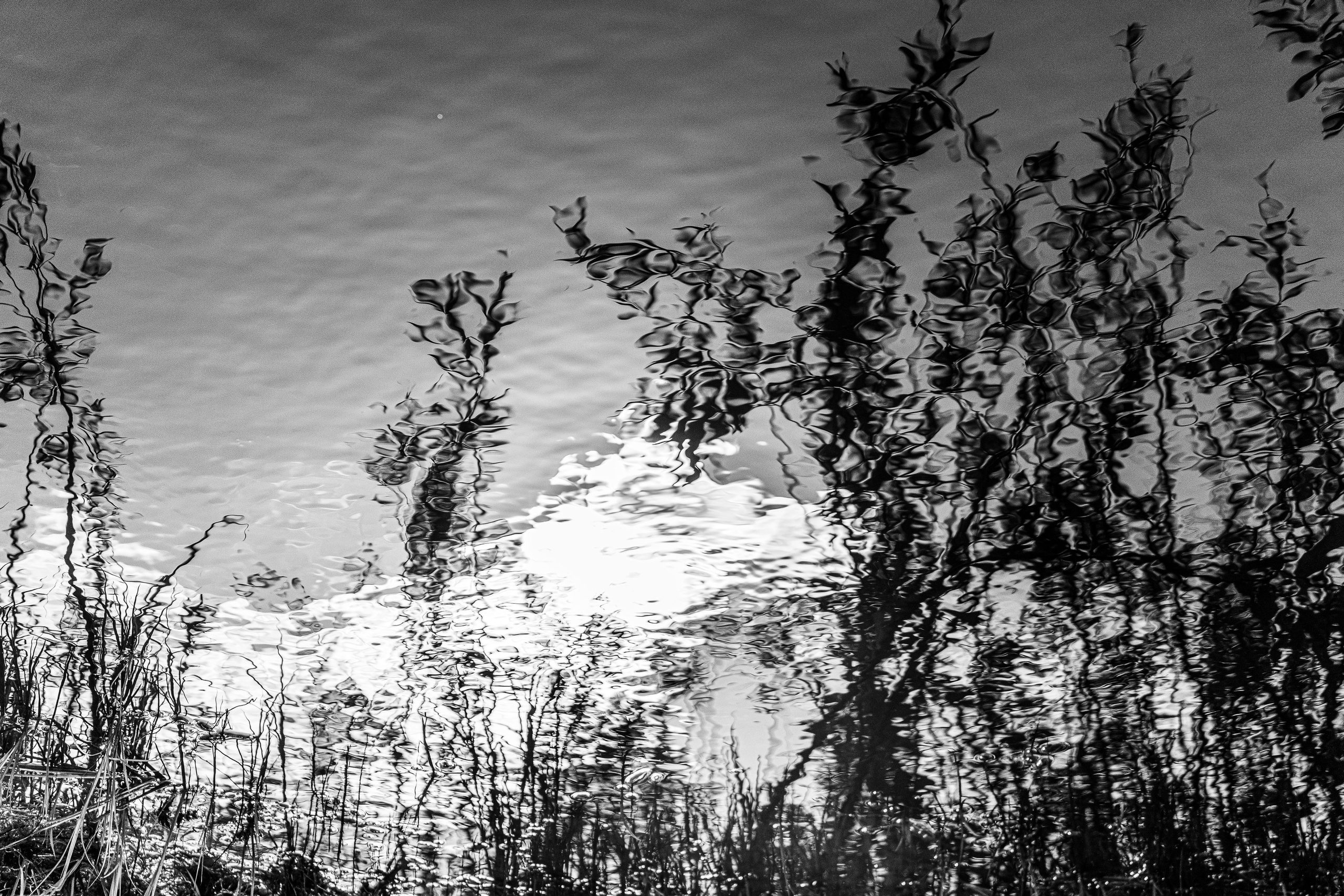 Фотографии Лены Соколовой