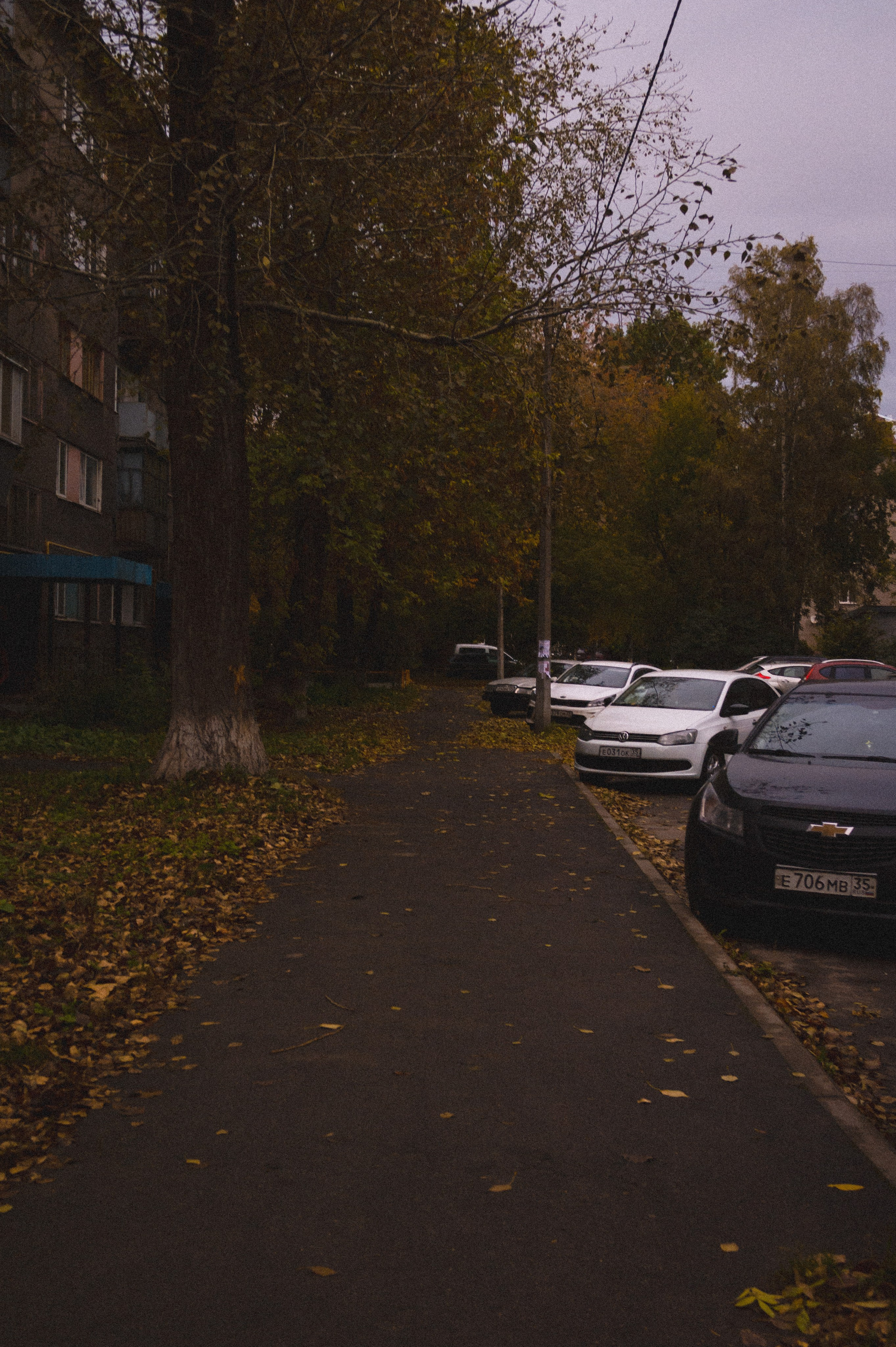 Октябрь 2025. Den Mirov — Фотограф, Музыкант