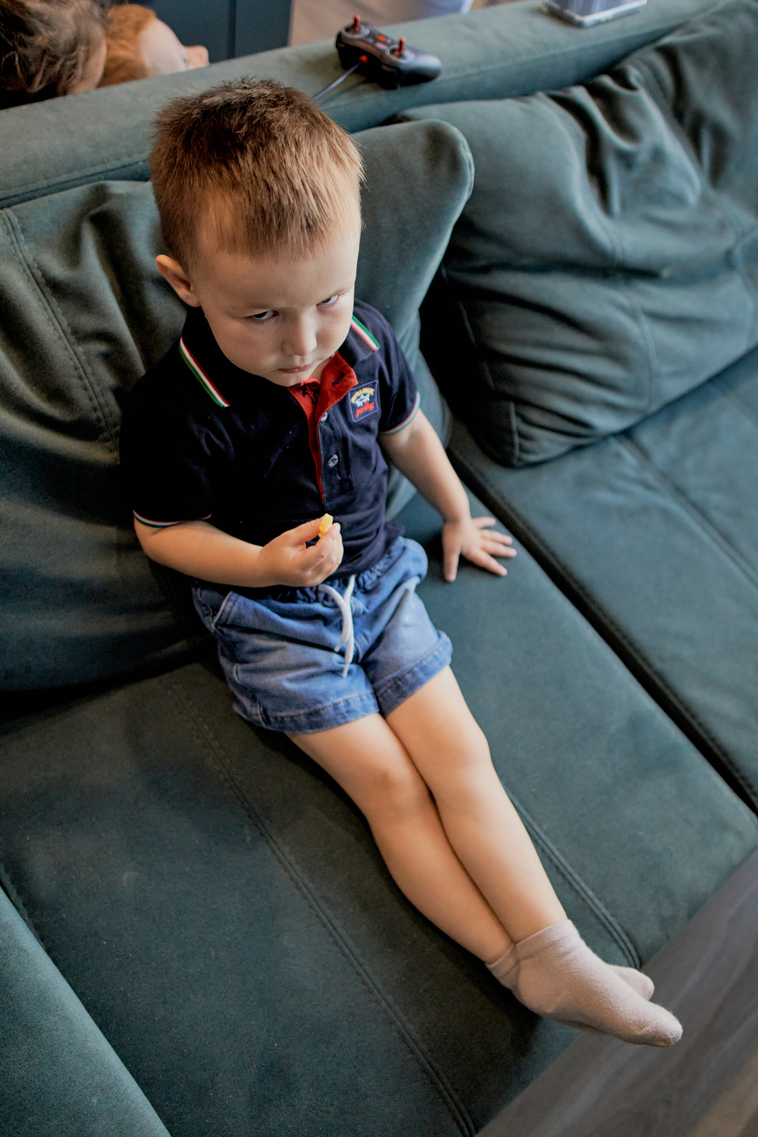 Три кота. Фотограф Москва