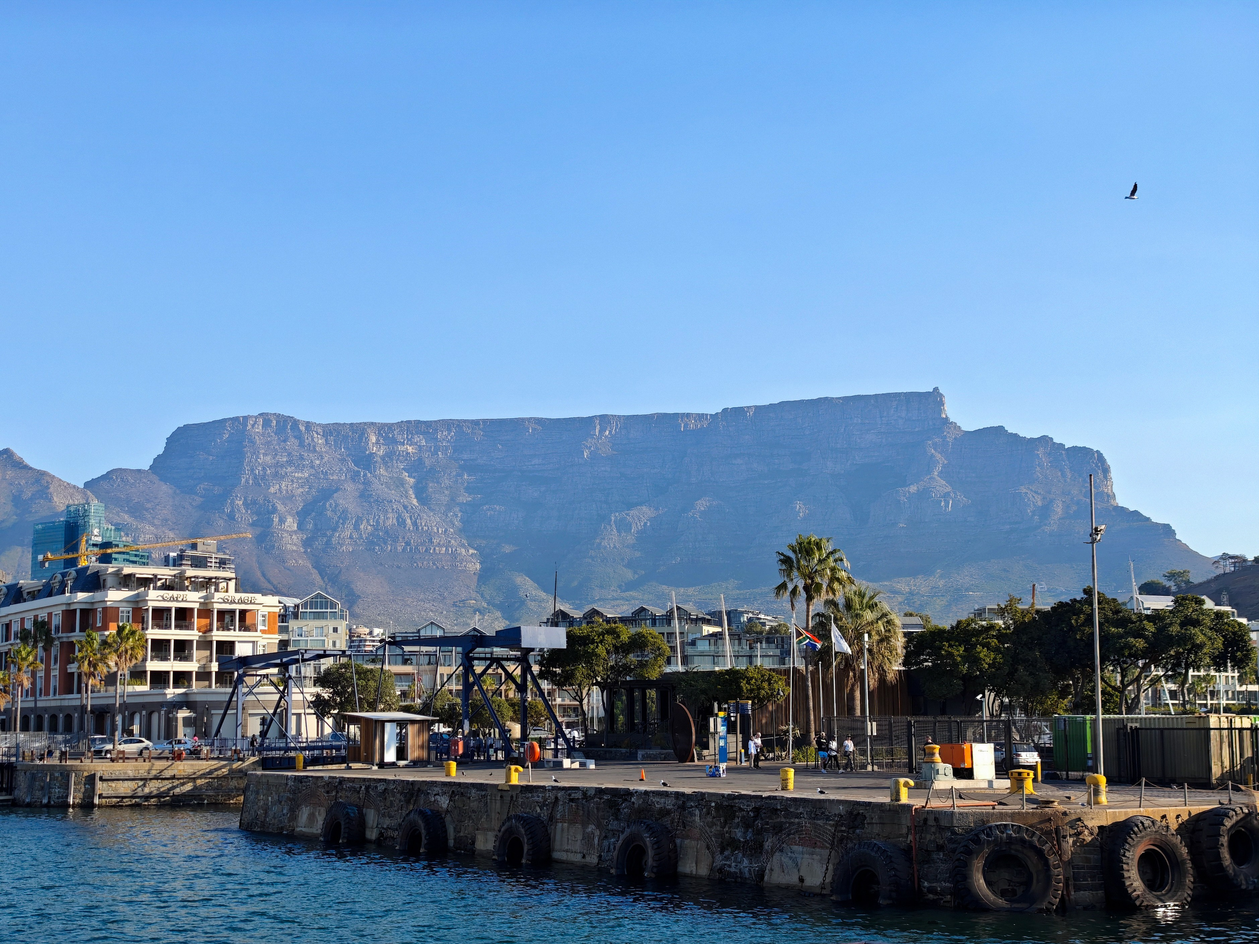 Морские котики и закат. Фотографии из путешествий