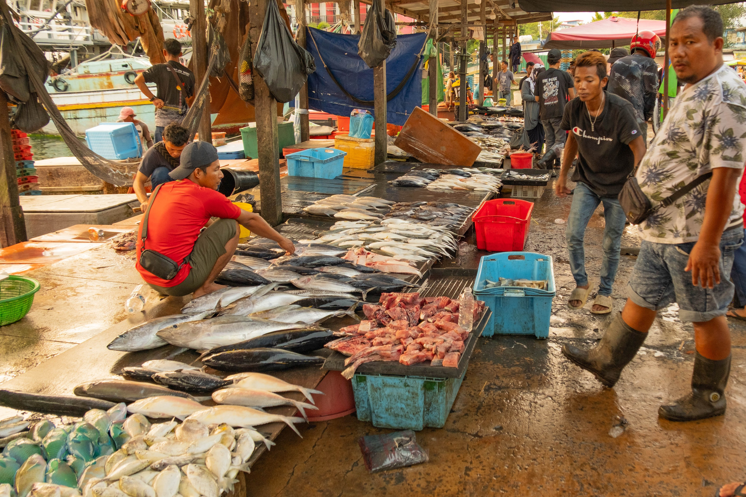 Остров Борнео, город Семпорна. Причал и рынок. Фотографии из путешествий