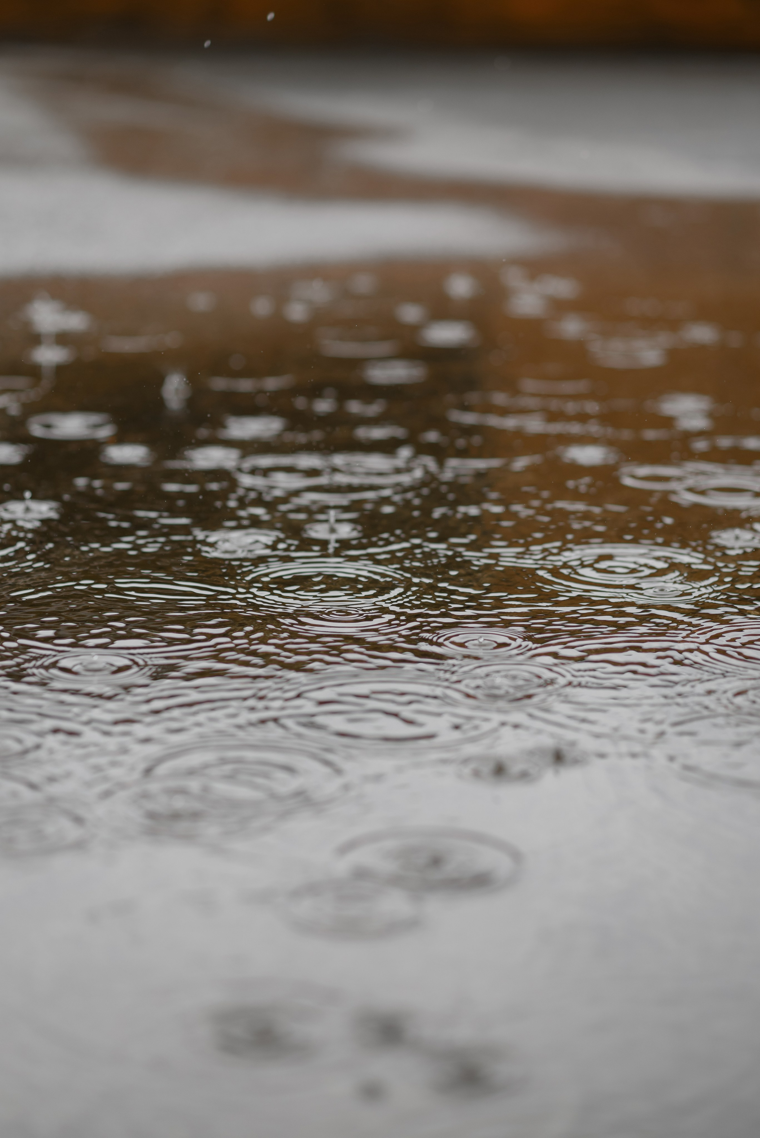 Айгуль и Фанис. Фотограф Филякин Константин