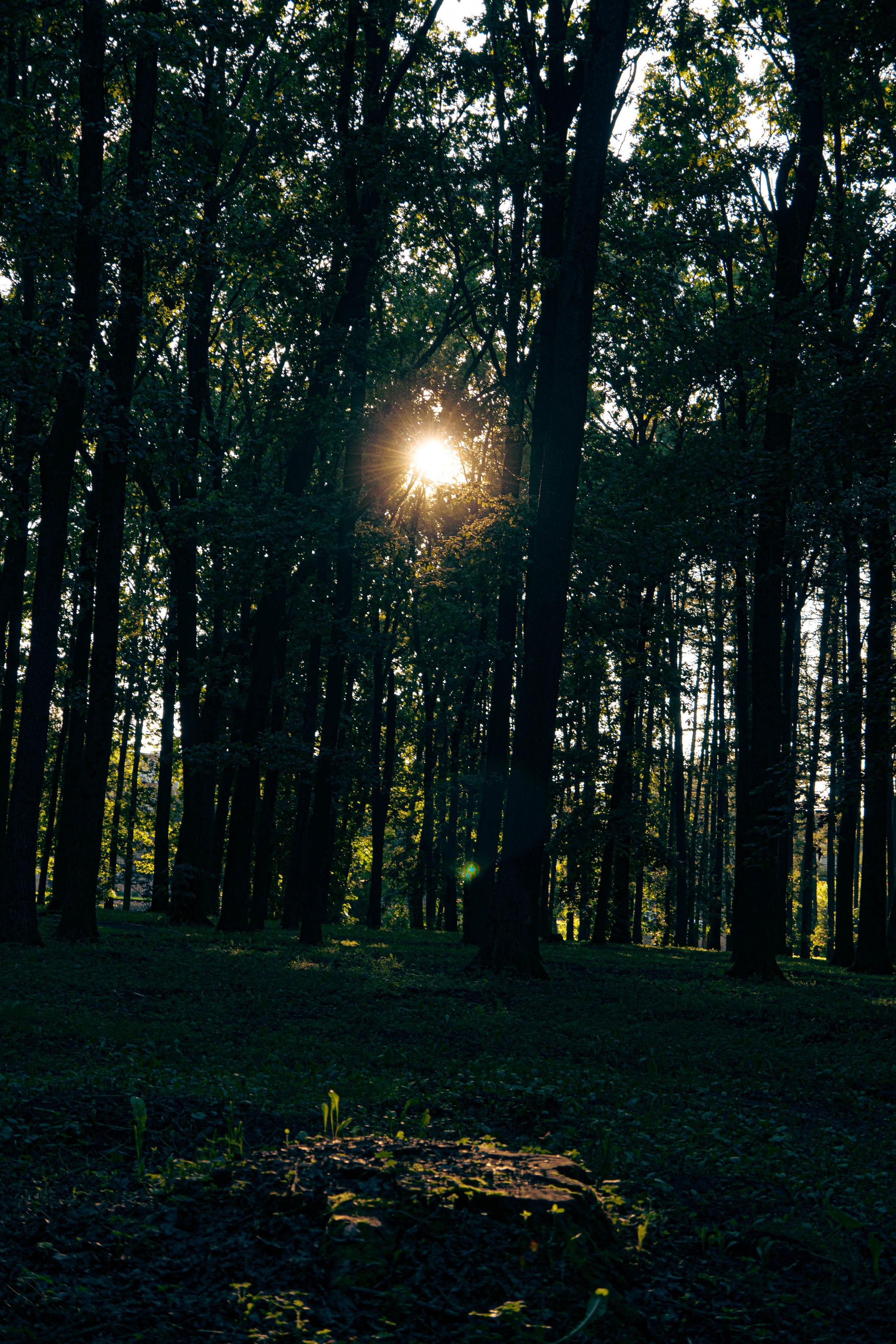 Архитектура и природа. Главная