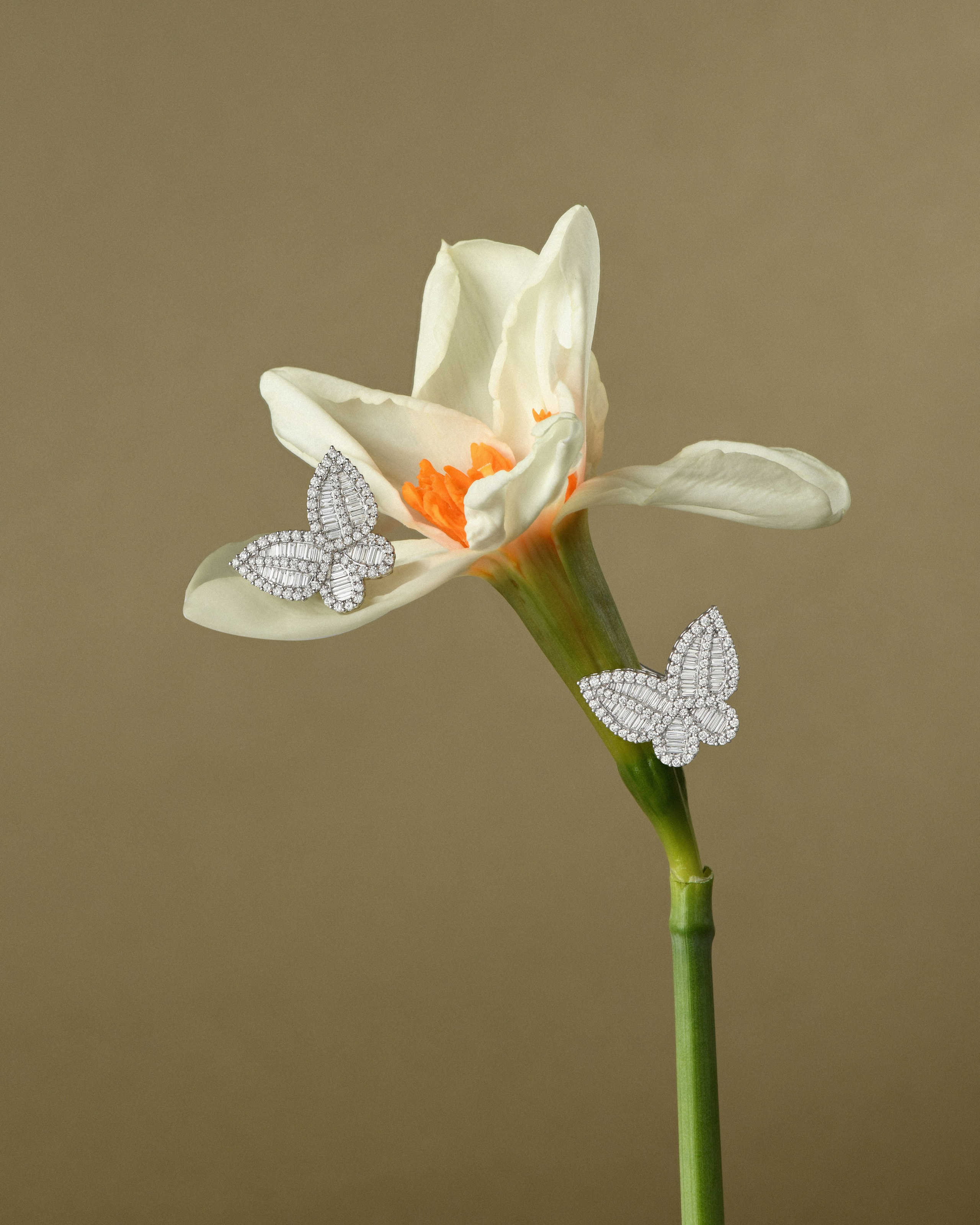 предметная съемка украшений