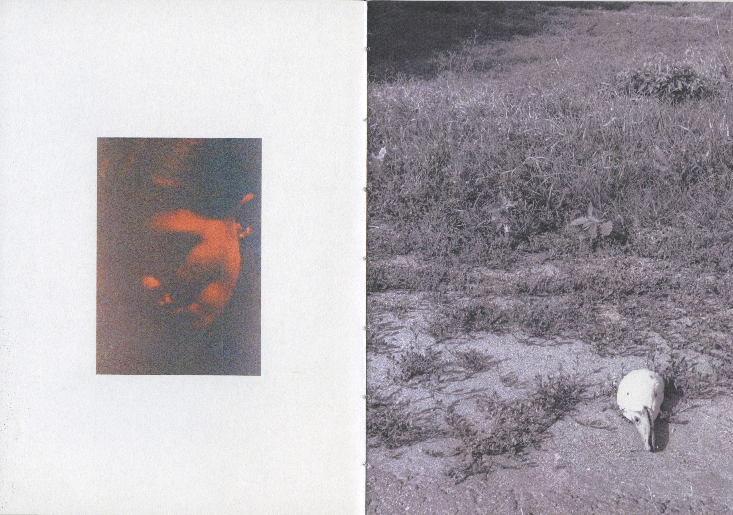 Собственное тело. Kirill Gribov