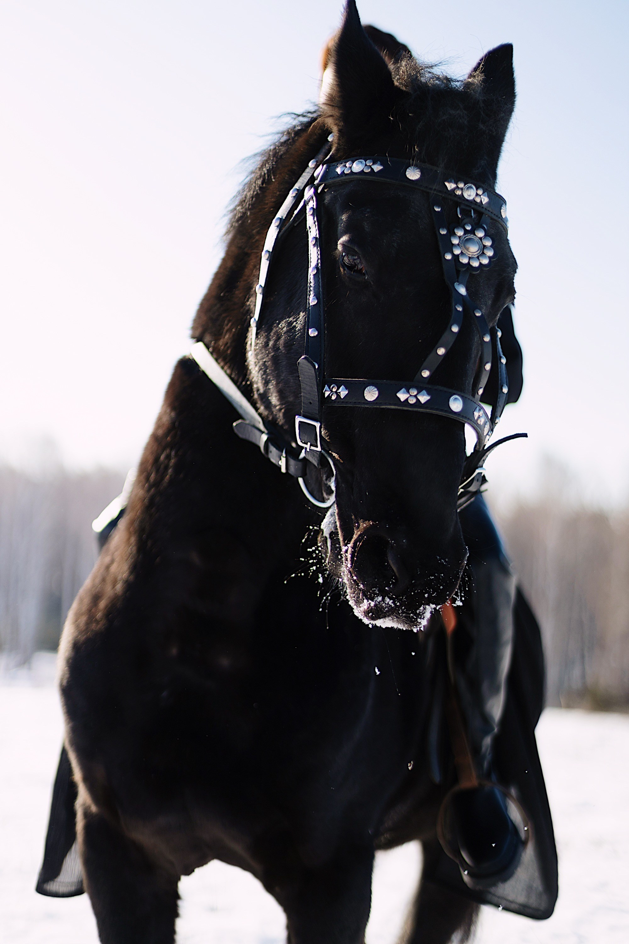 Царица. Фотограф Марсель Батыршин