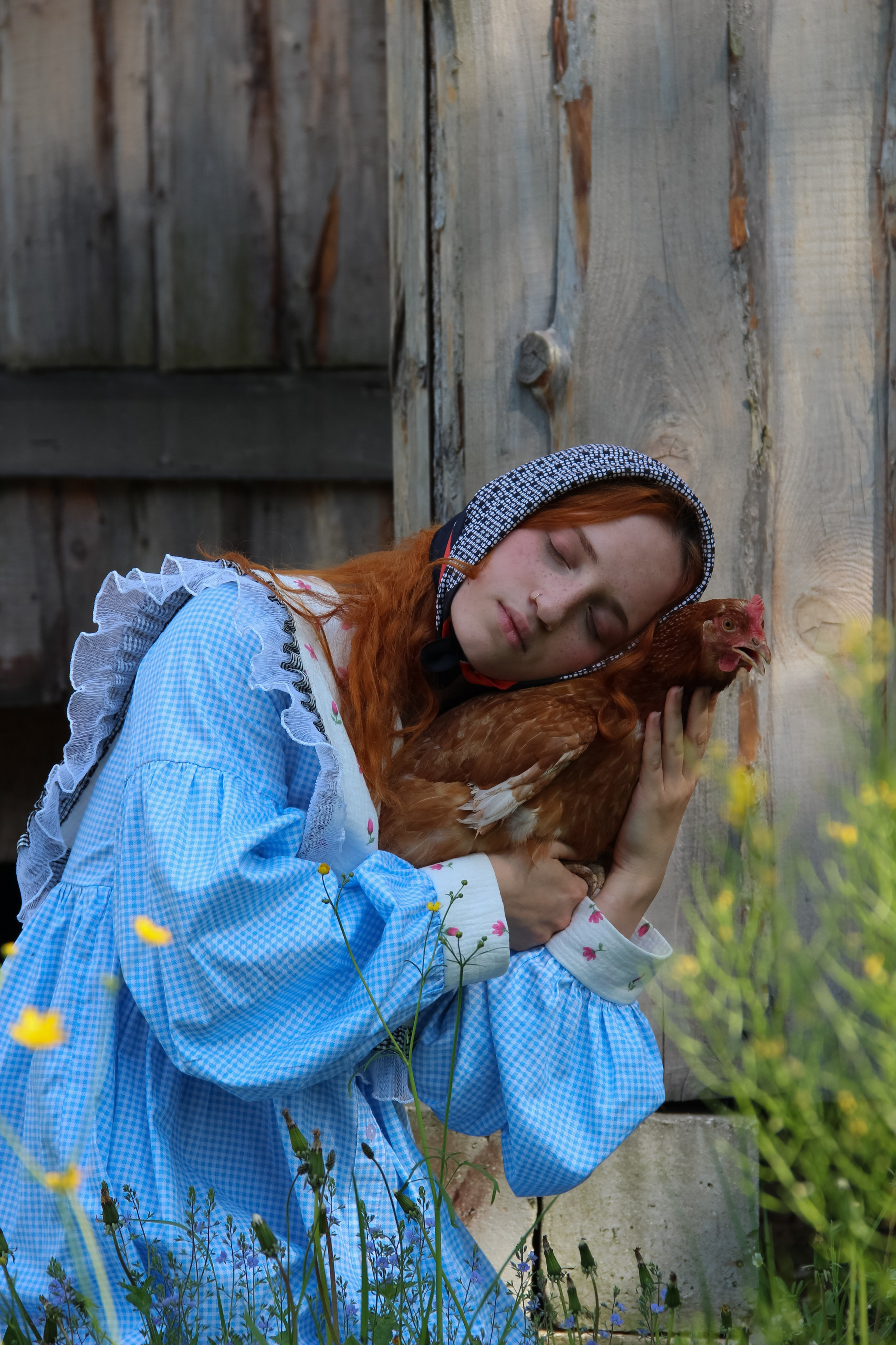 Farm photos. Главная