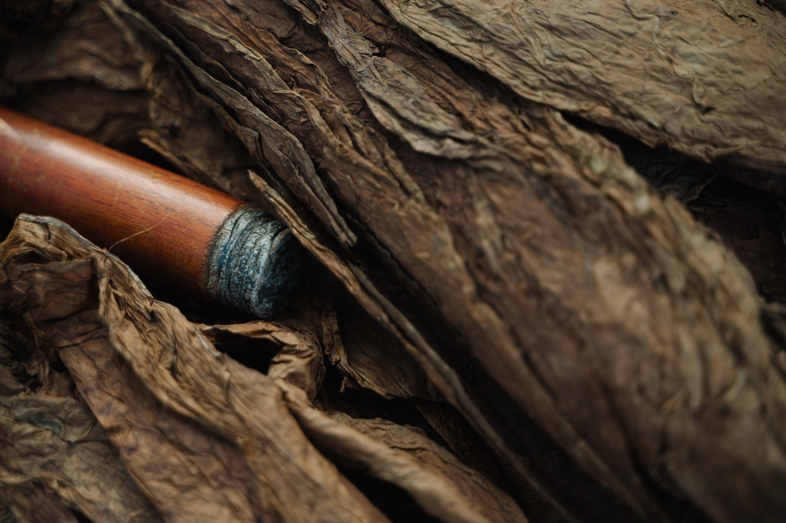 ПАРУСНАЯ РЕГАТА