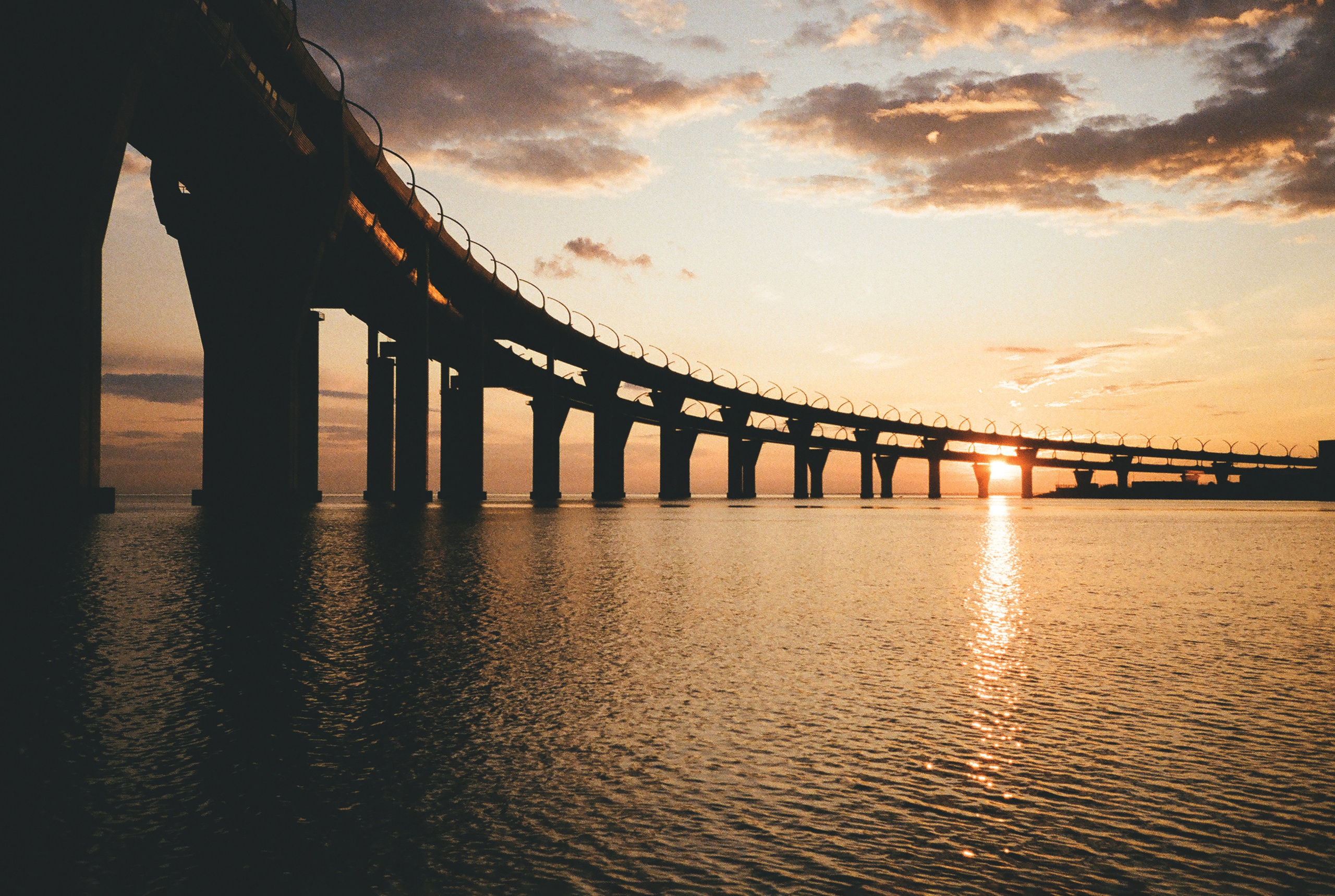 Фотографии цветные. Свадебный и семейный пленочный фотограф в Петербурге Истомина Ирина