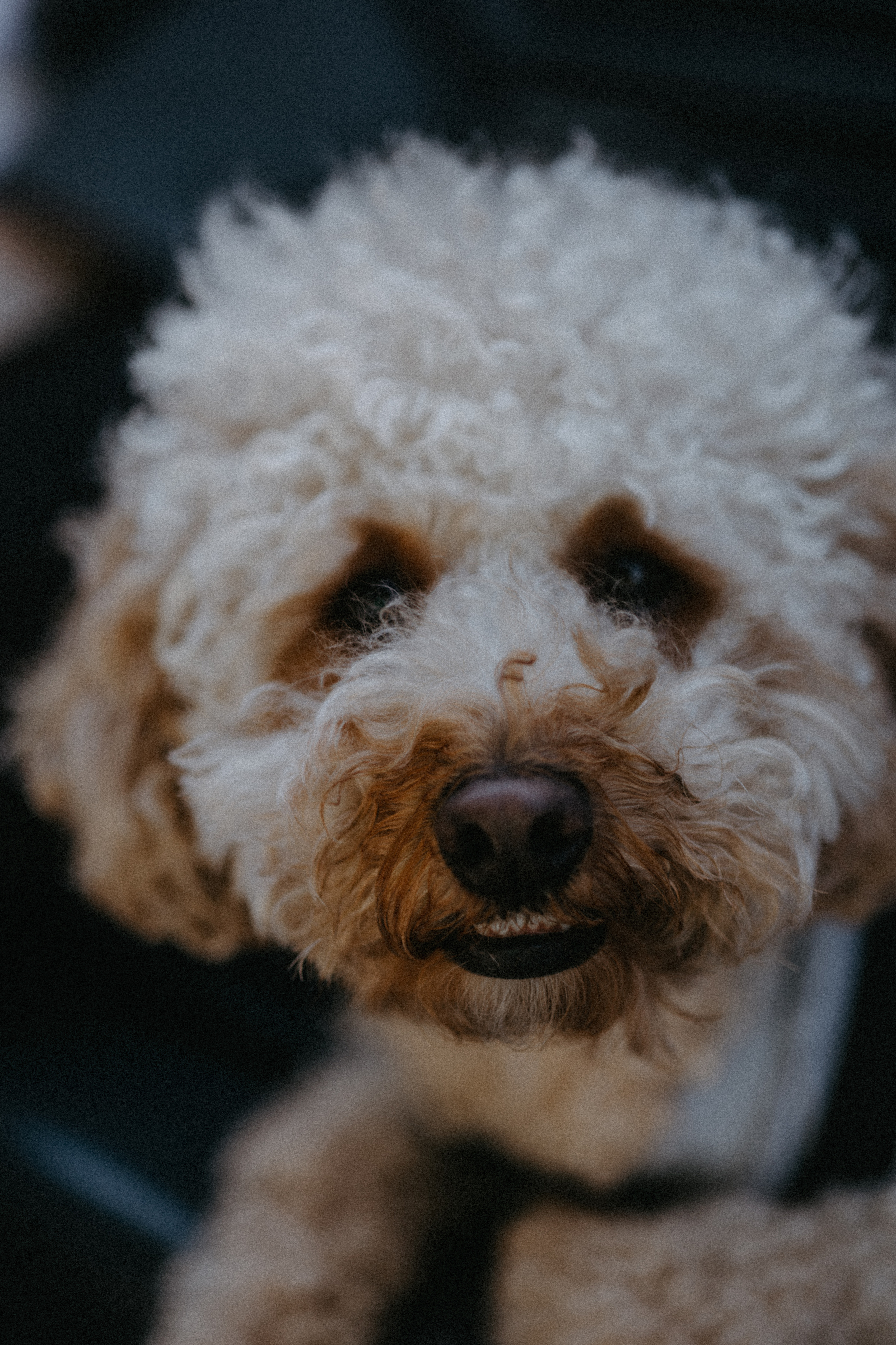 Нигар. Alesya Gee Photographer Uzbekistan