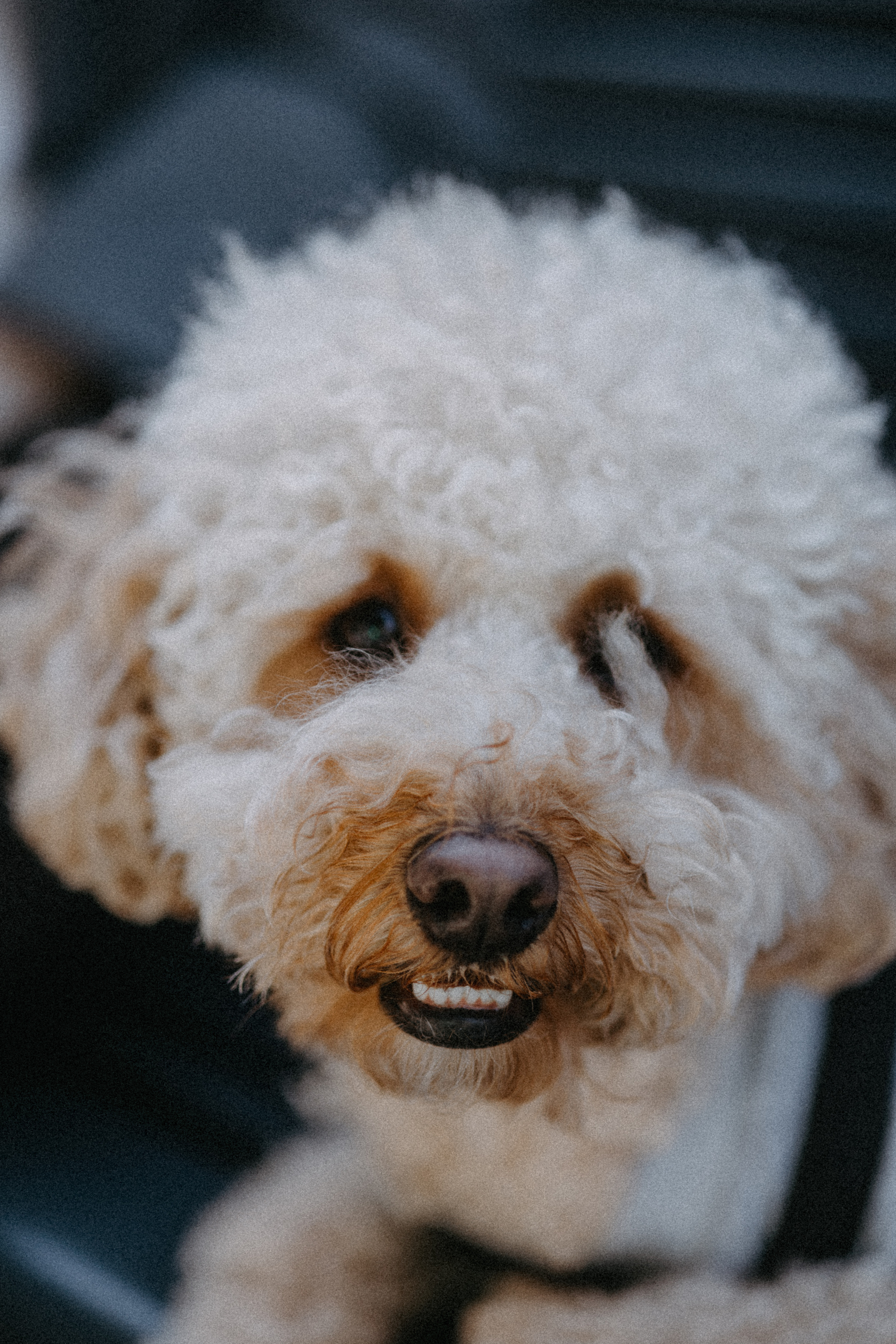 Нигар. Alesya Gee Photographer Uzbekistan