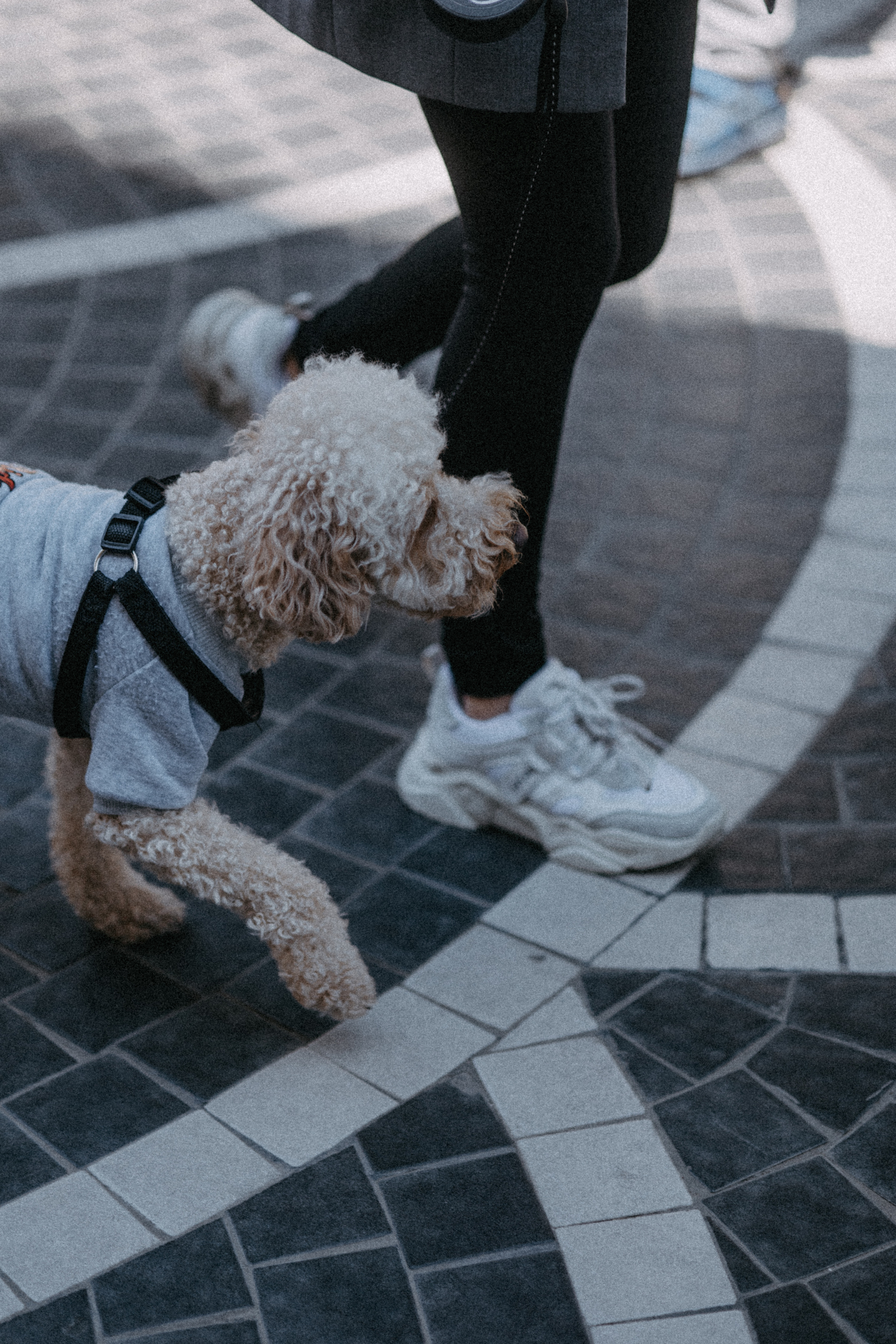 Нигар. Alesya Gee Photographer Uzbekistan