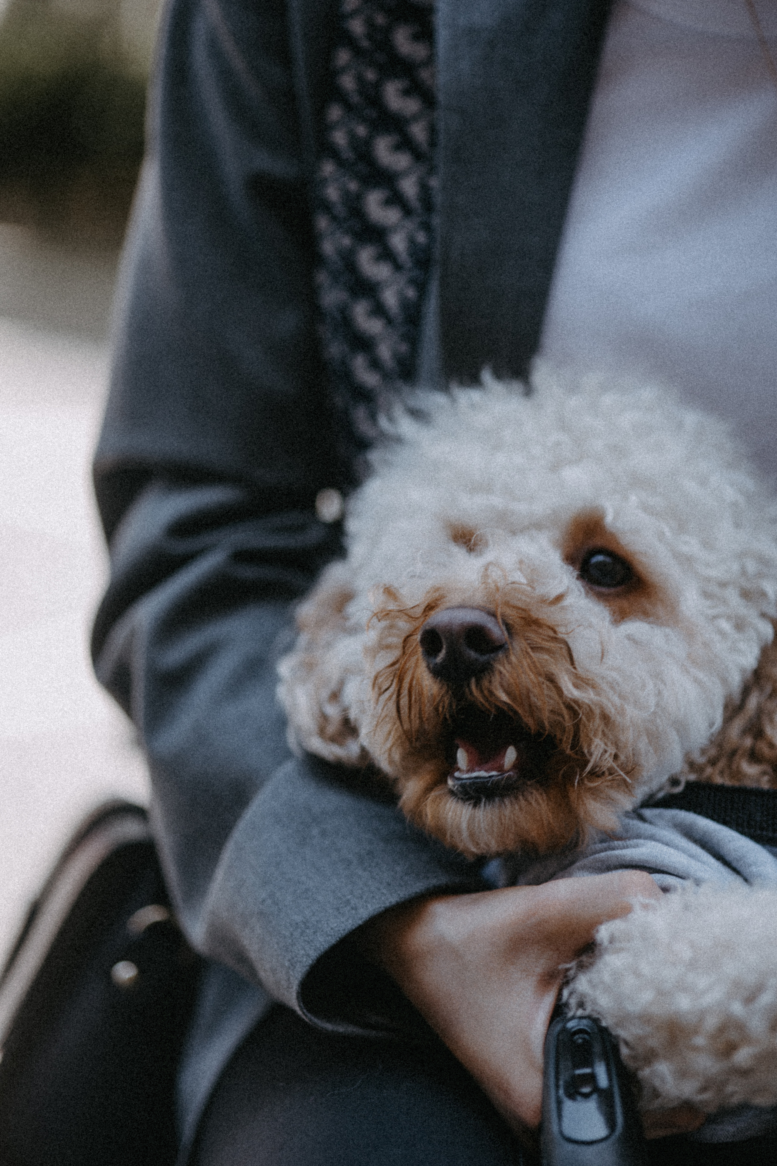 Нигар. Alesya Gee Photographer Uzbekistan