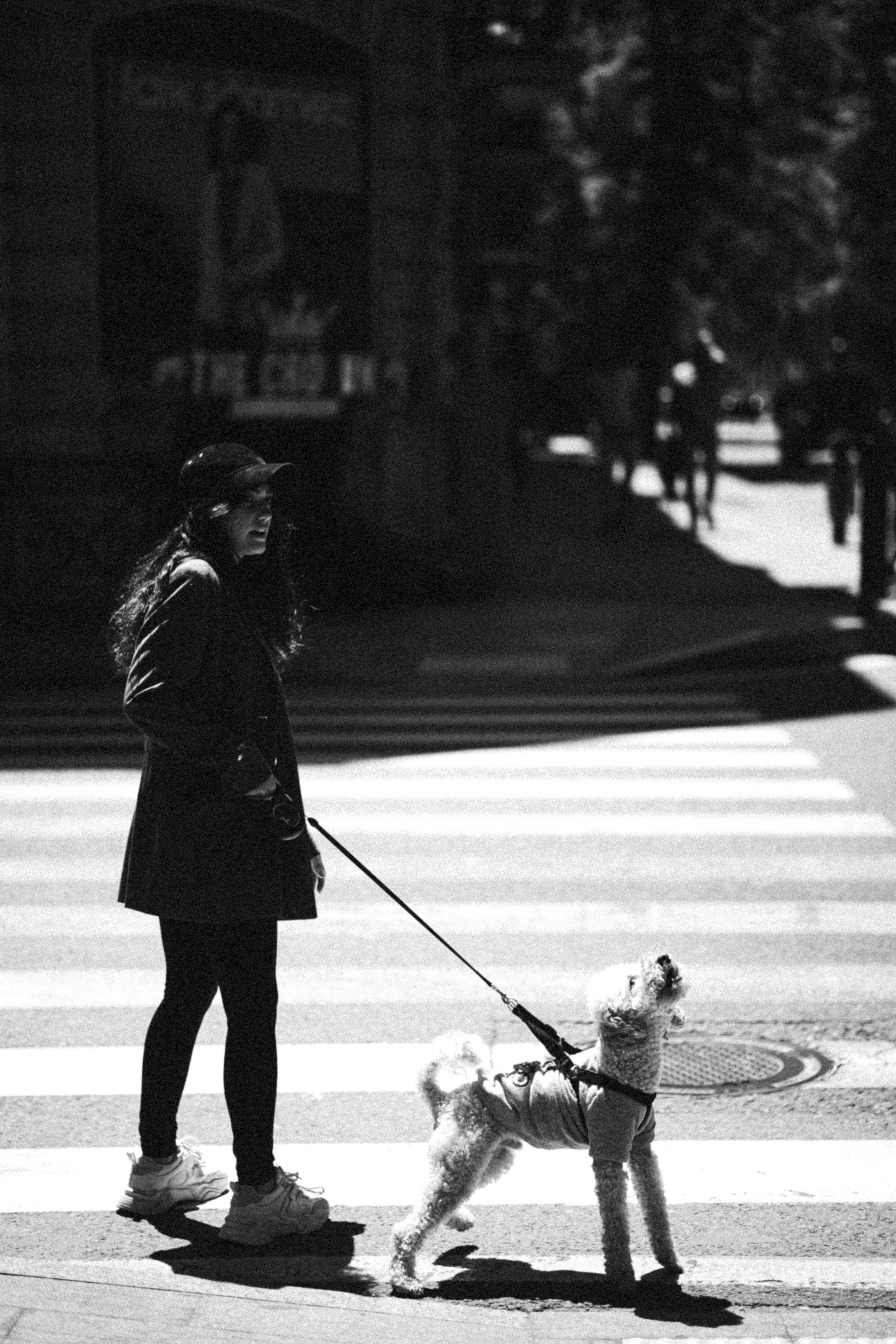 Нигар. Alesya Gee Photographer Uzbekistan