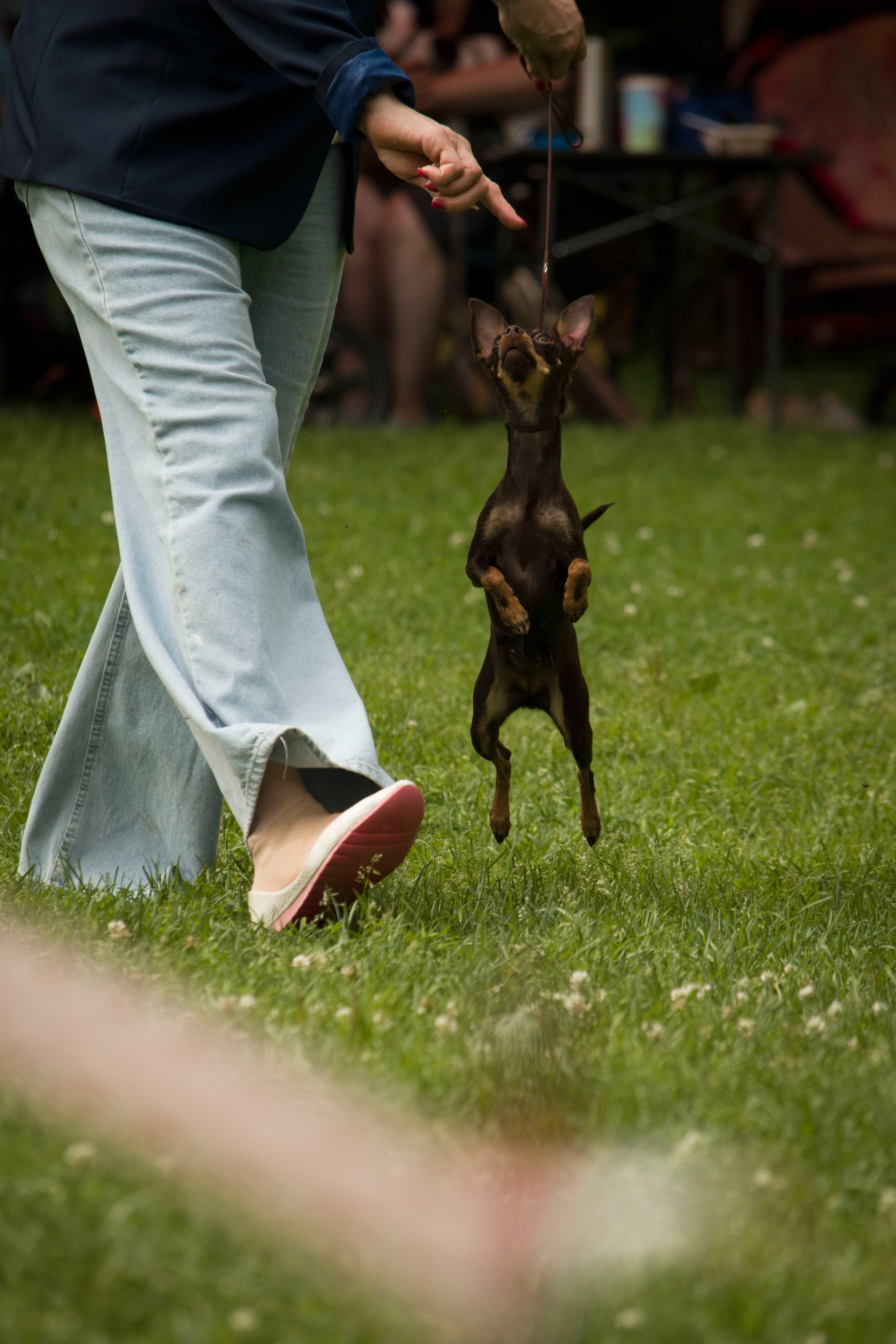 Reportage & Events. Фотограф Евгения Саботаж в г. Москва