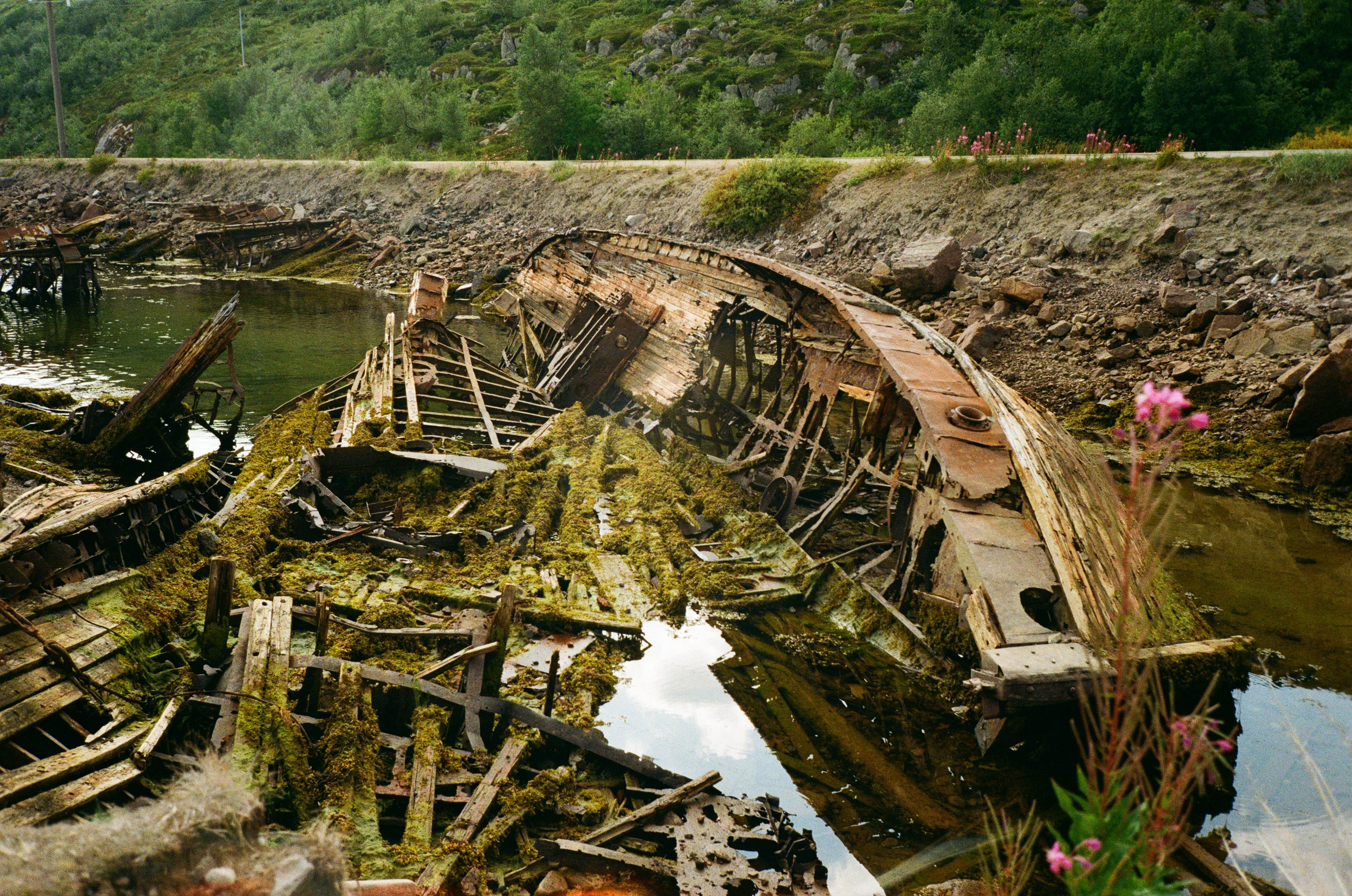 Снято на пленку. Семейный LIFESTYLE фотограф в Москве