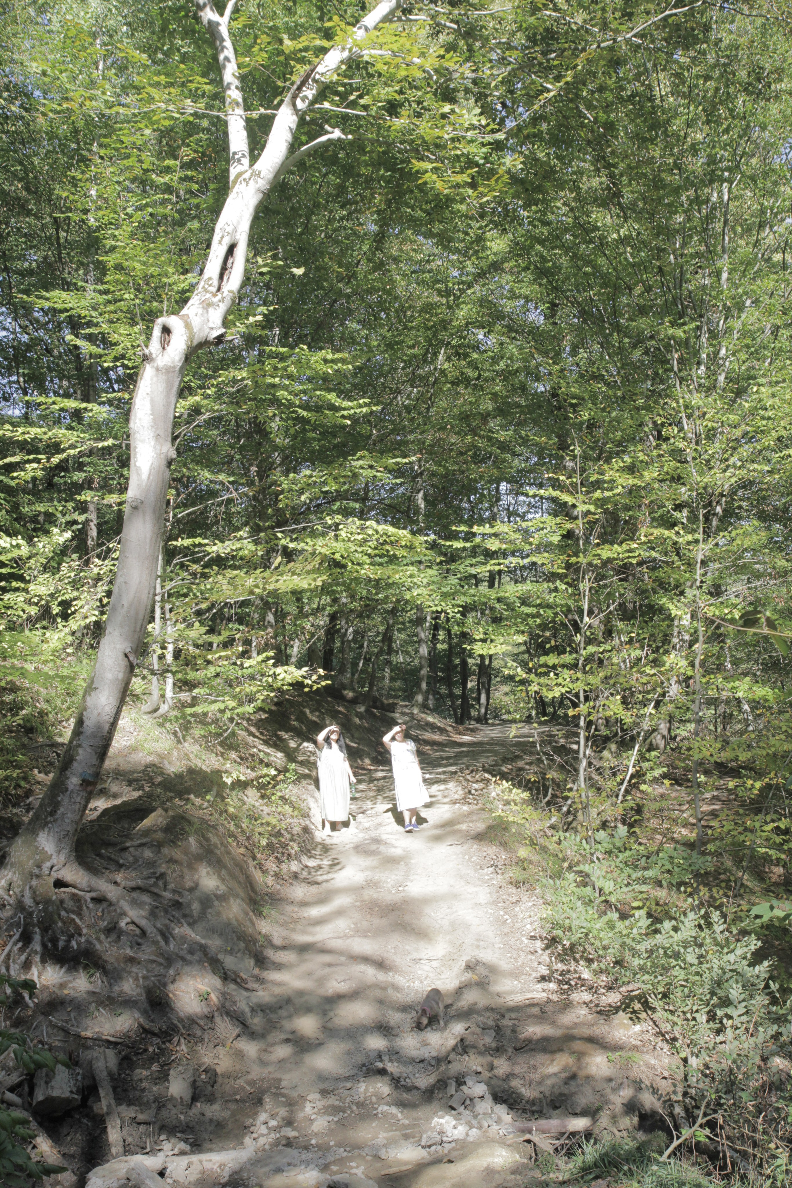 Горячий Ключ (2024-09-22). Собор Отрасли