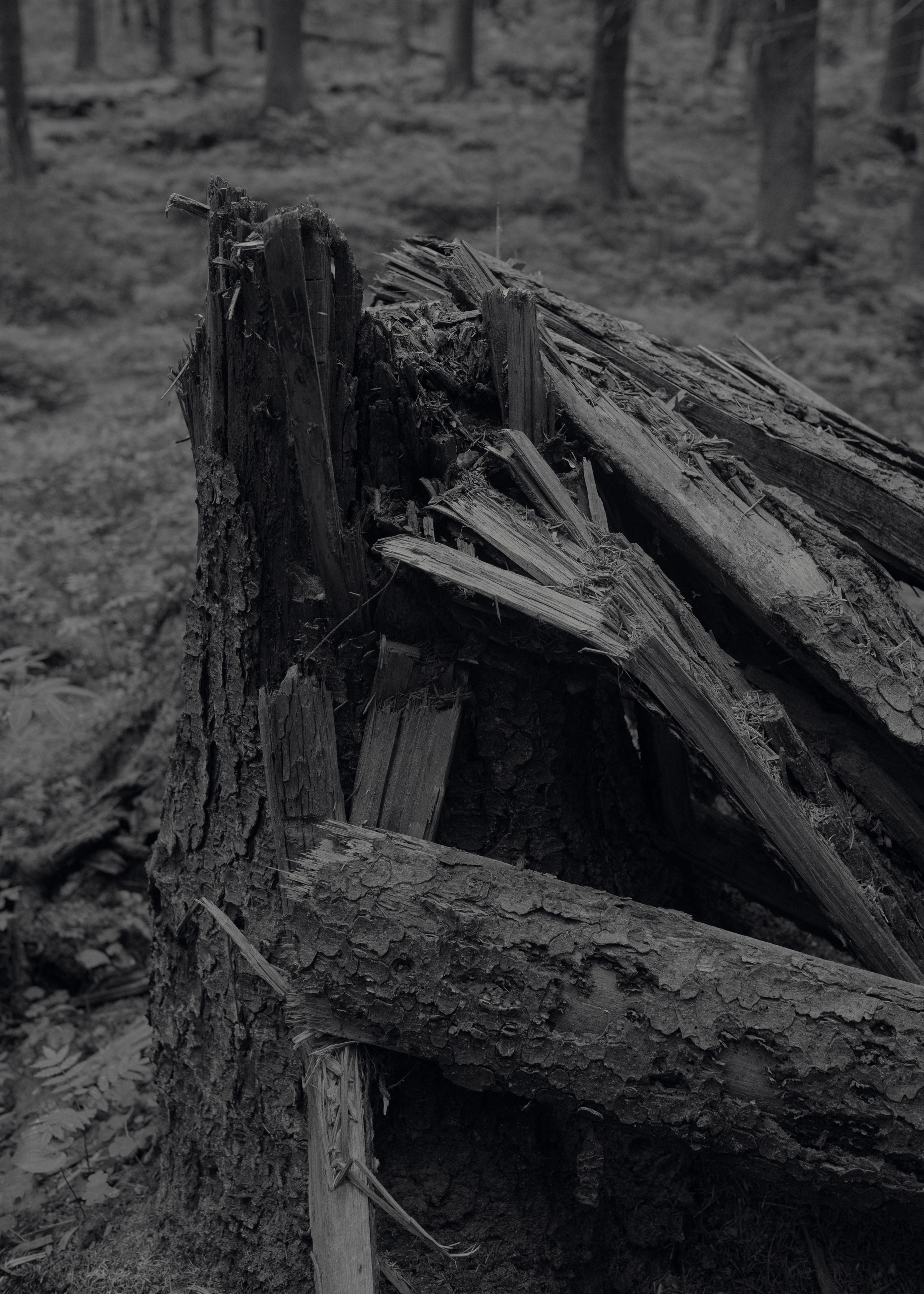 I’m Tired of Being Myself. Photographer Slava Kostylev