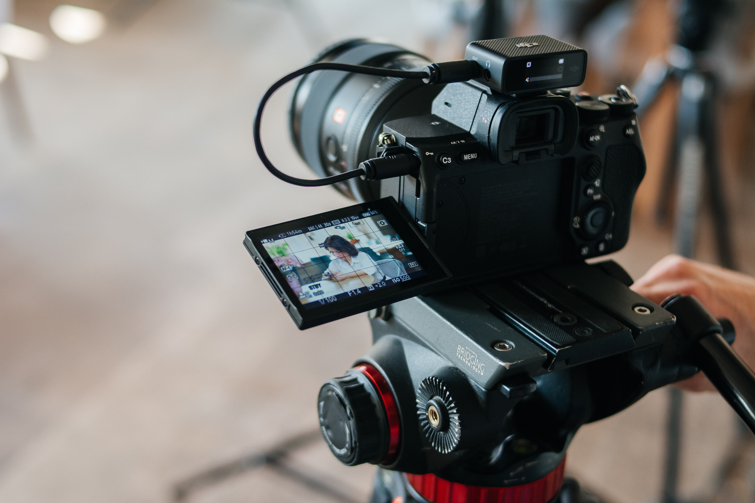 Репортаж. Фотограф Елена Рогашкова