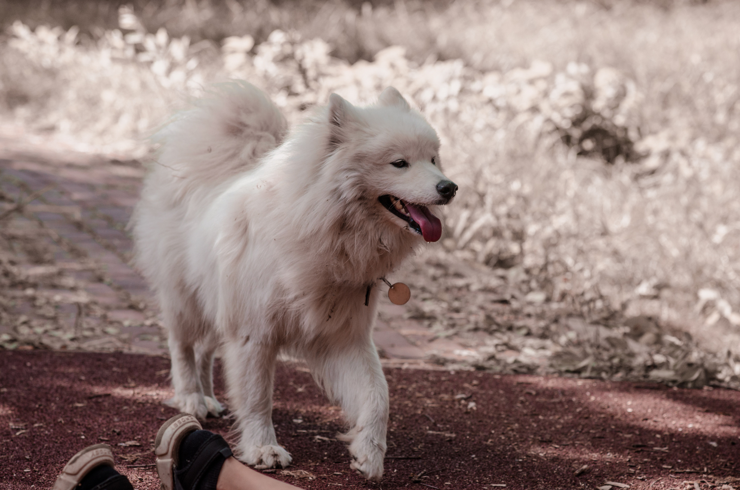 Репортаж. Фотограф Елена Рогашкова