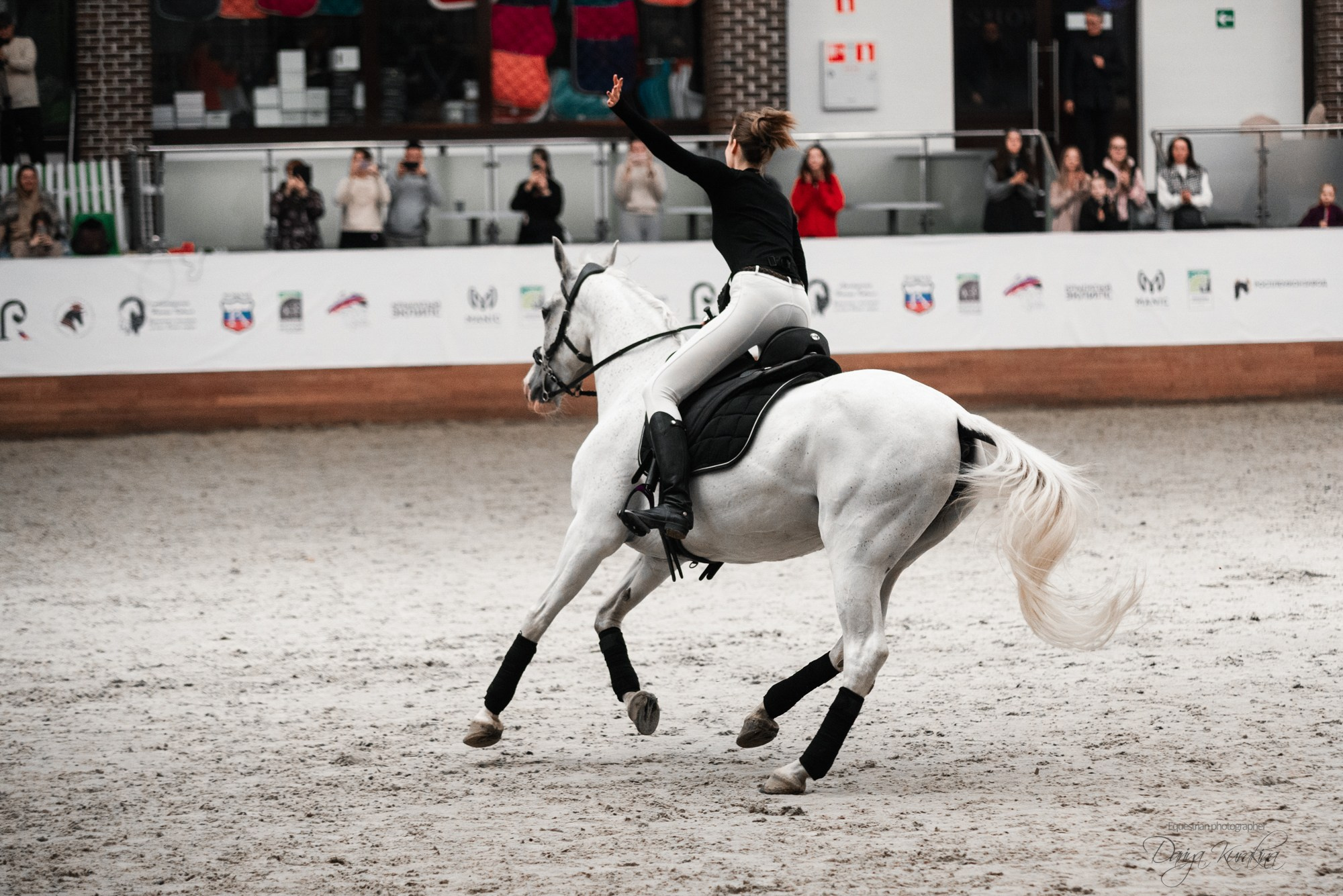 8-я международная выставка Конная Россия. Конный фотограф Куракина Дарья • Фотосессии с лошадьми