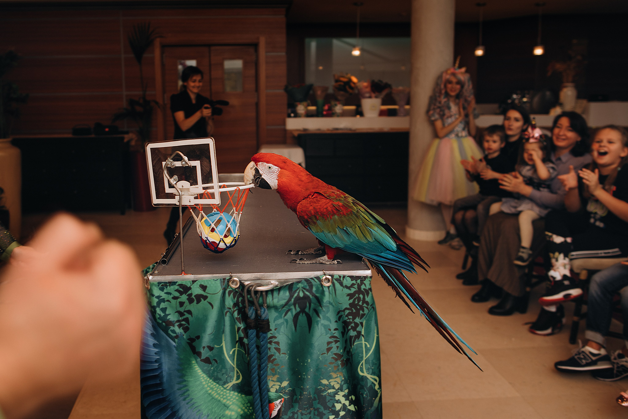 Тамуна 4 года. Портретный фотограф в Москве и МО Зимина Татьяна