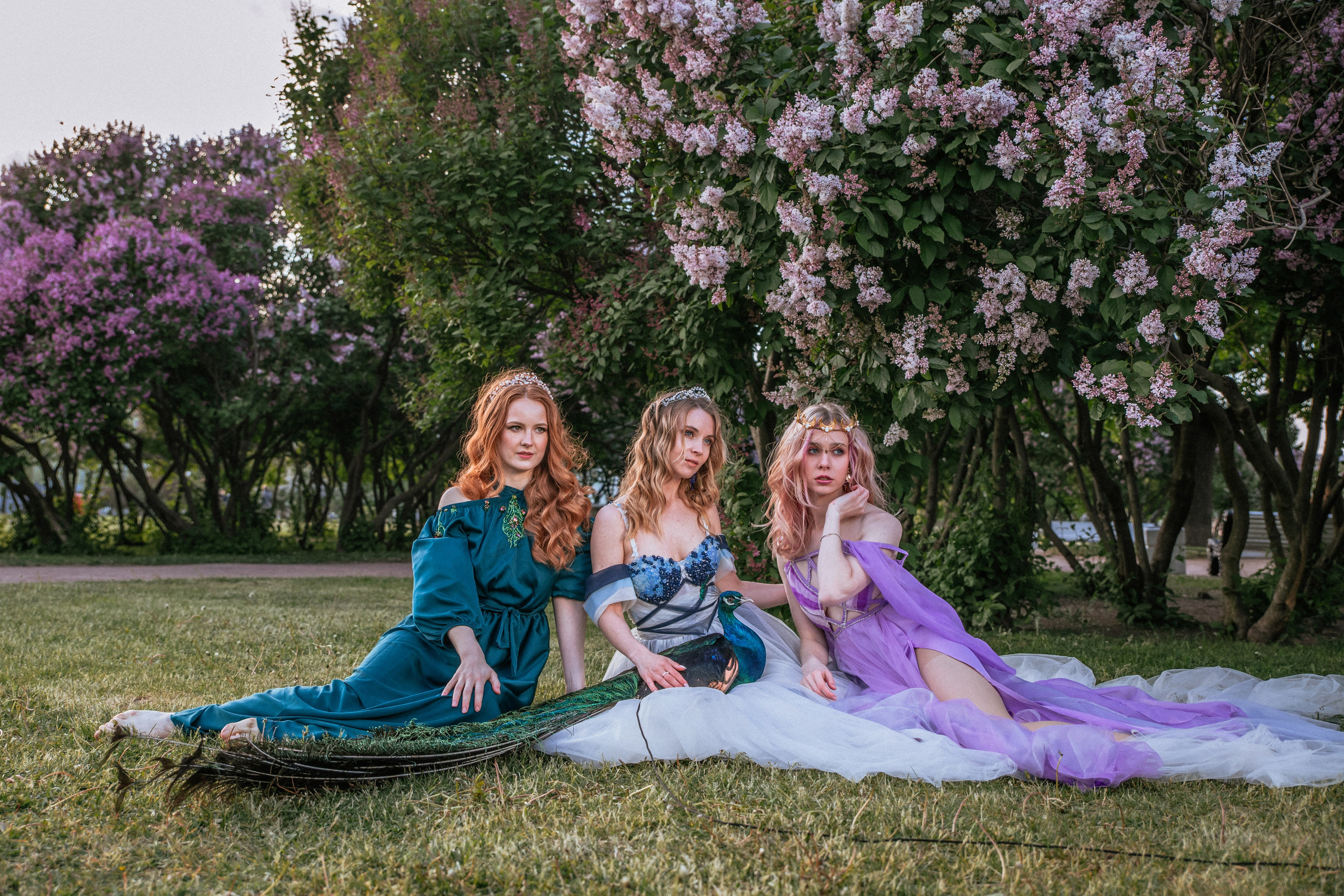 Павлин. Elena Sova — семейный и женский фотограф в Санкт-Петербурге