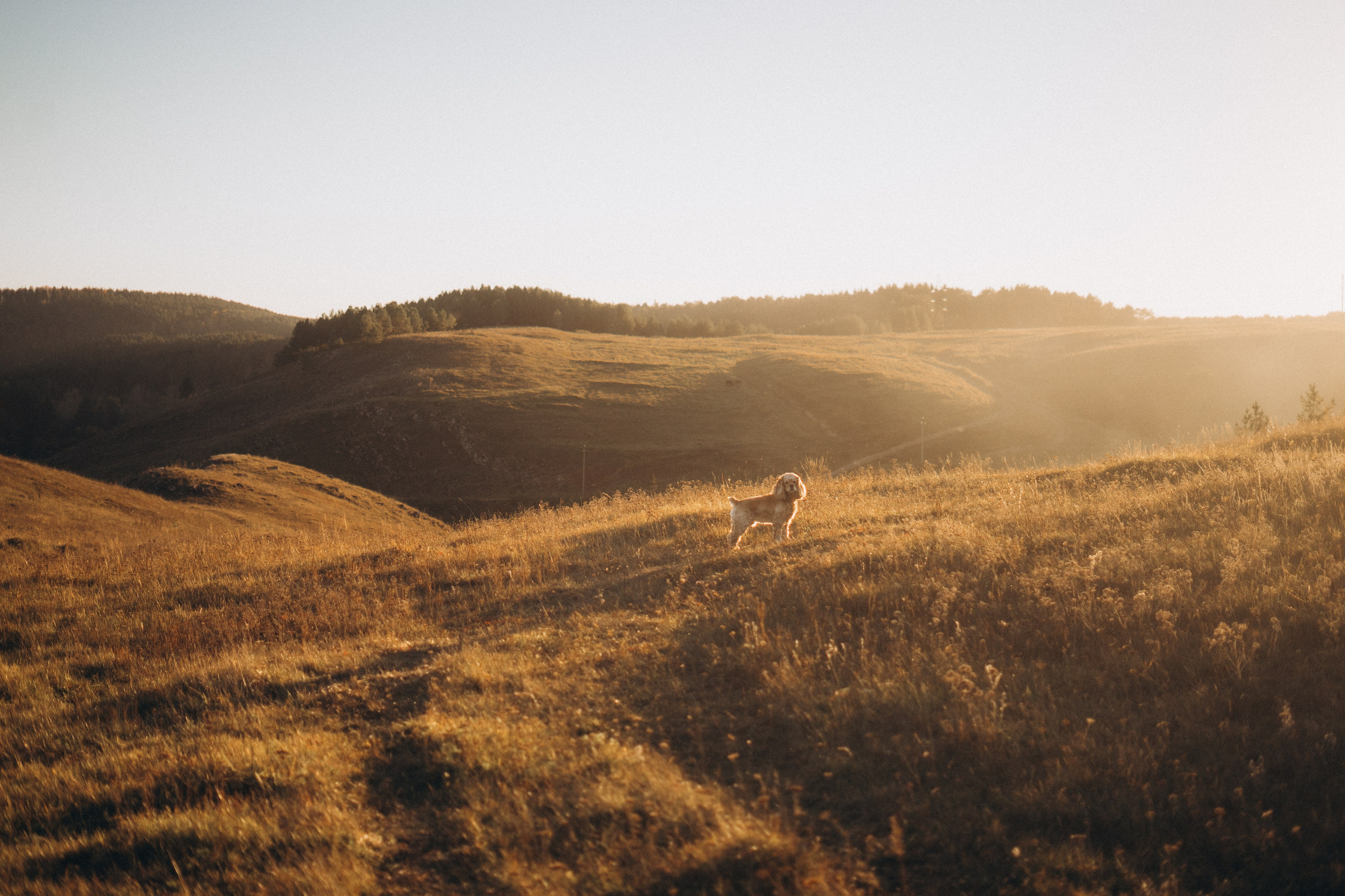 Алексей, Мария, Миша, Лиза и Соня. Главная