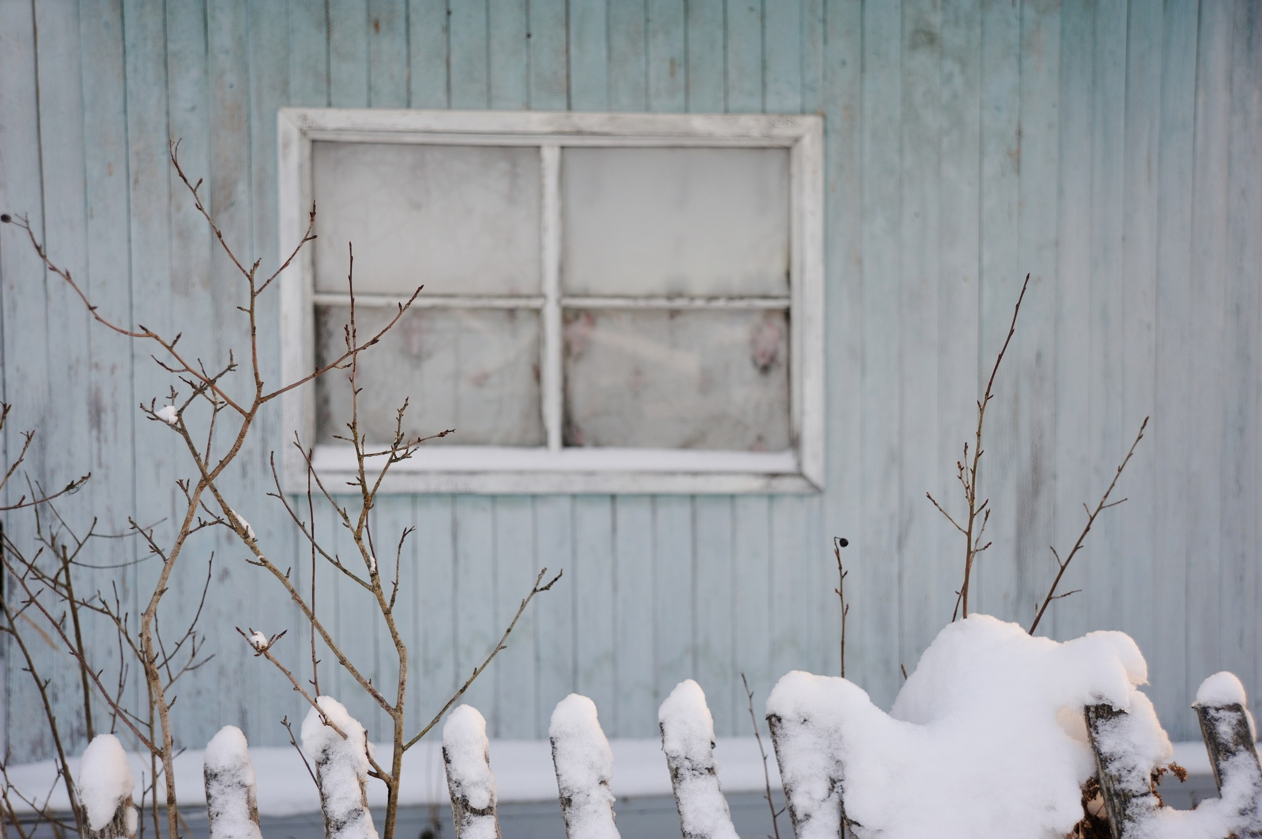Сказки Севера. Катерина Михеева