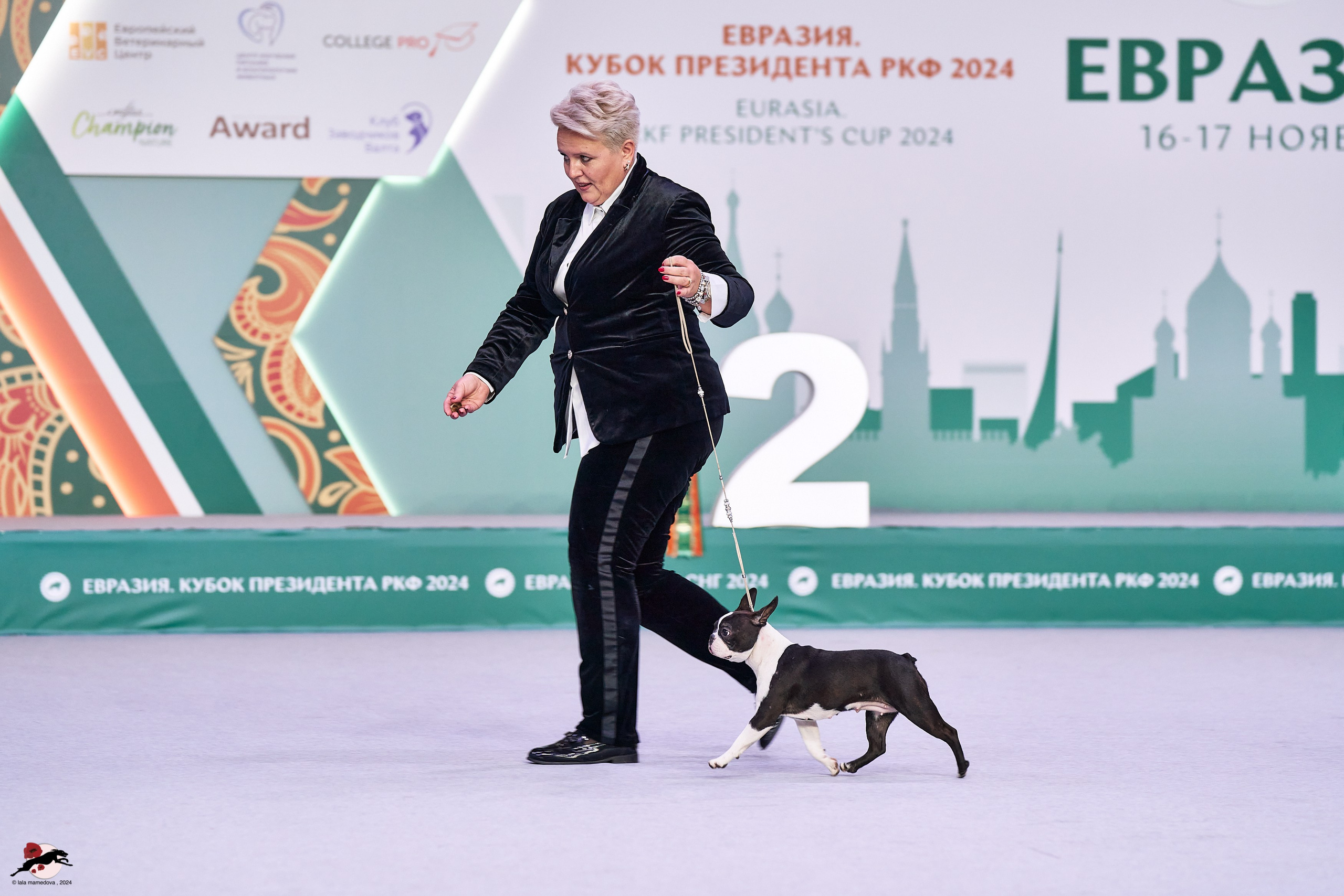 17.11.2024 «ЕВРАЗИЯ. КУБОК СНГ 2024»