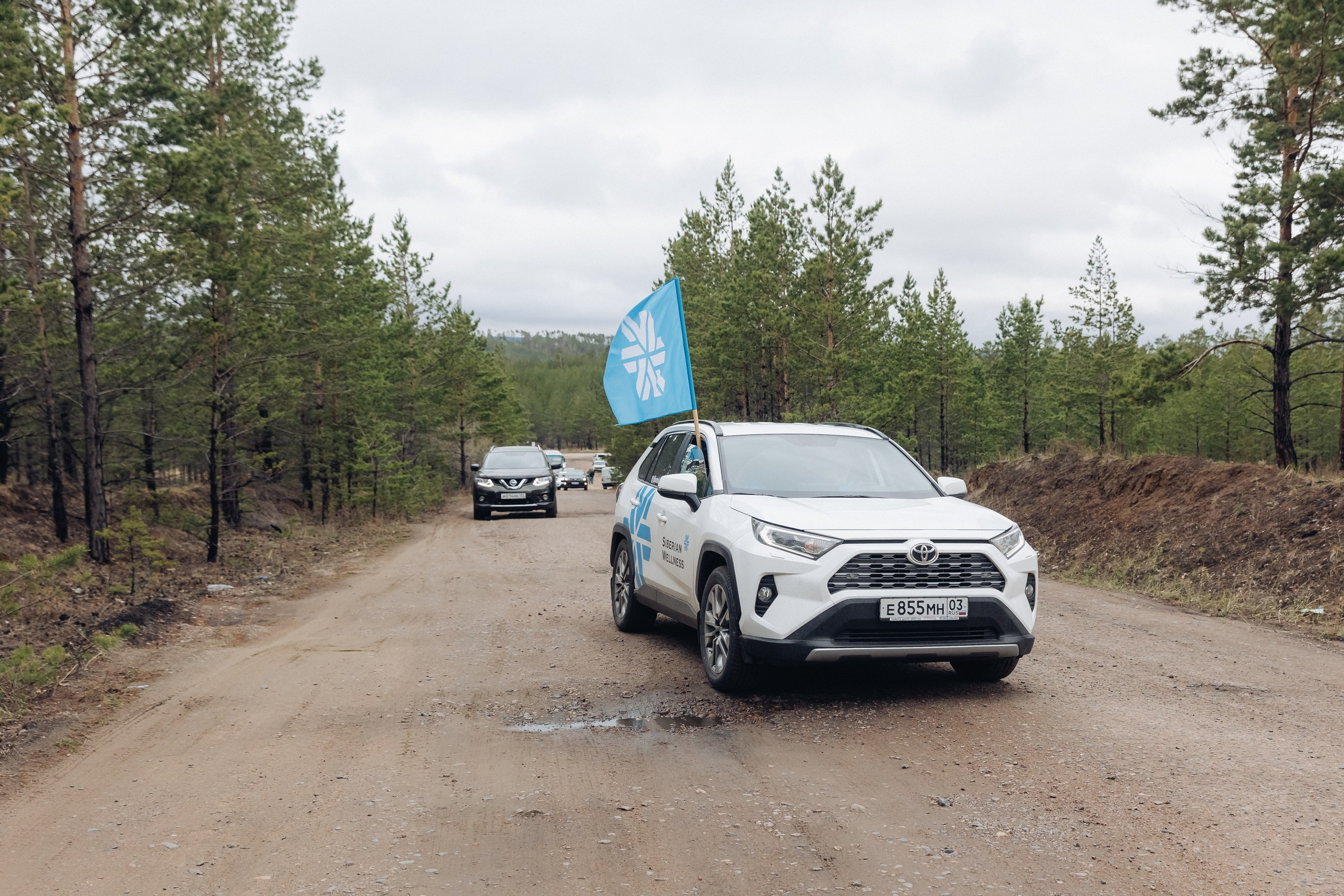 Siberian wellness. Ежегодная акция по посадке деревьев. Свадебный и семейный фотограф в Улан-Удэ