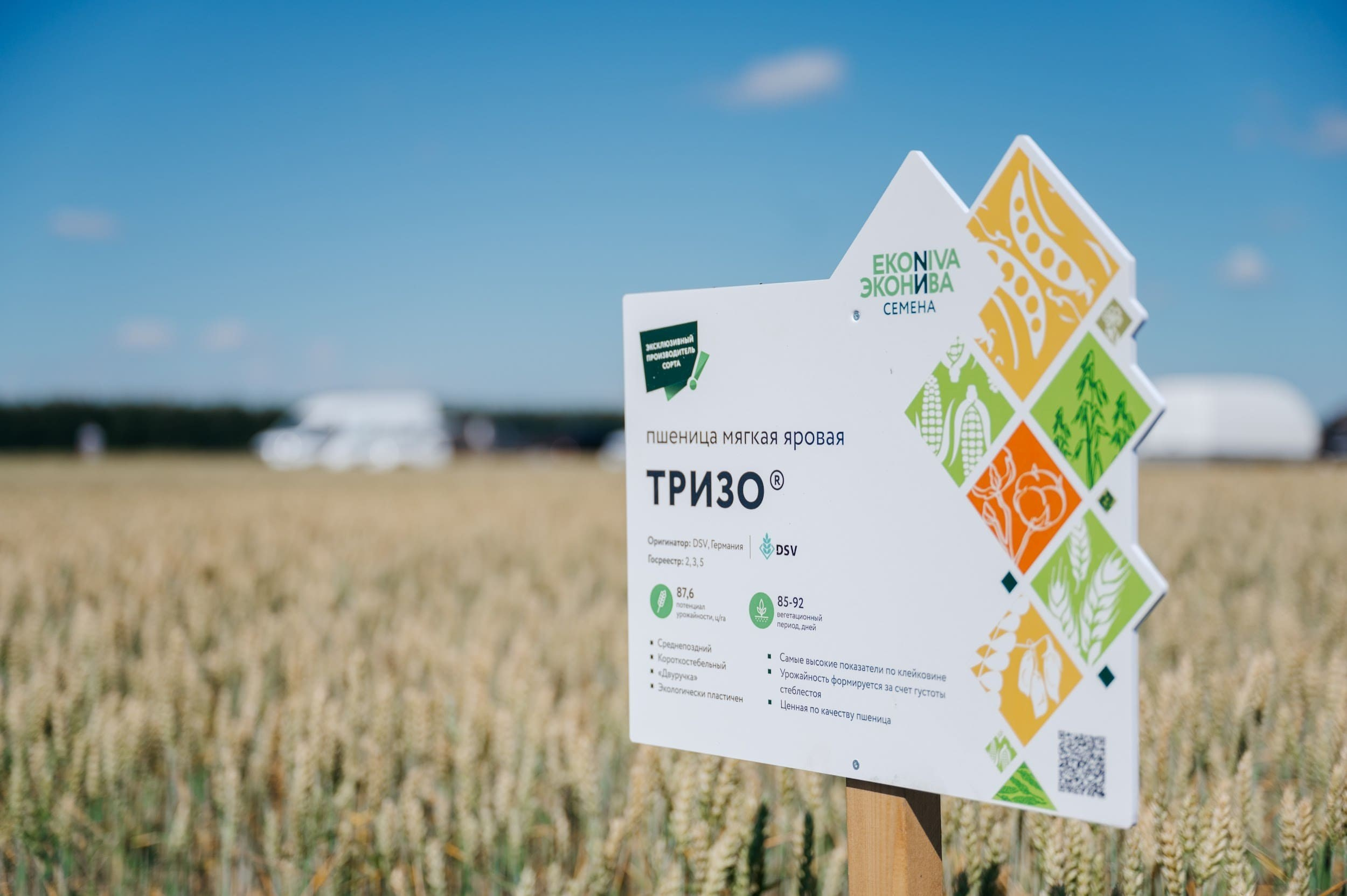 ЭКОНИВА. Владимир Дьяконов — Индустриальный и репортажной фотограф в России