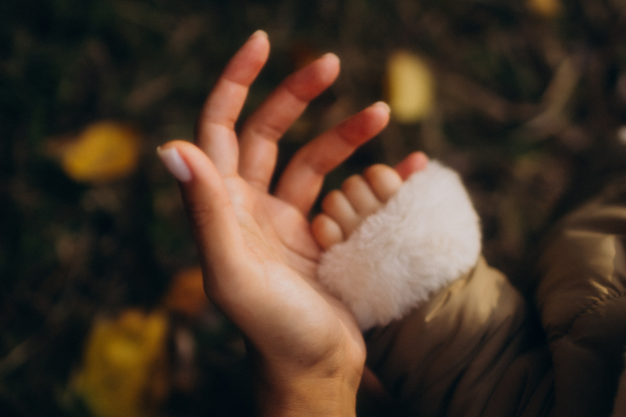 Осенняя семейная фотосессия. Семейный фотограф в Москве и Люберцах Юлия Гуськова