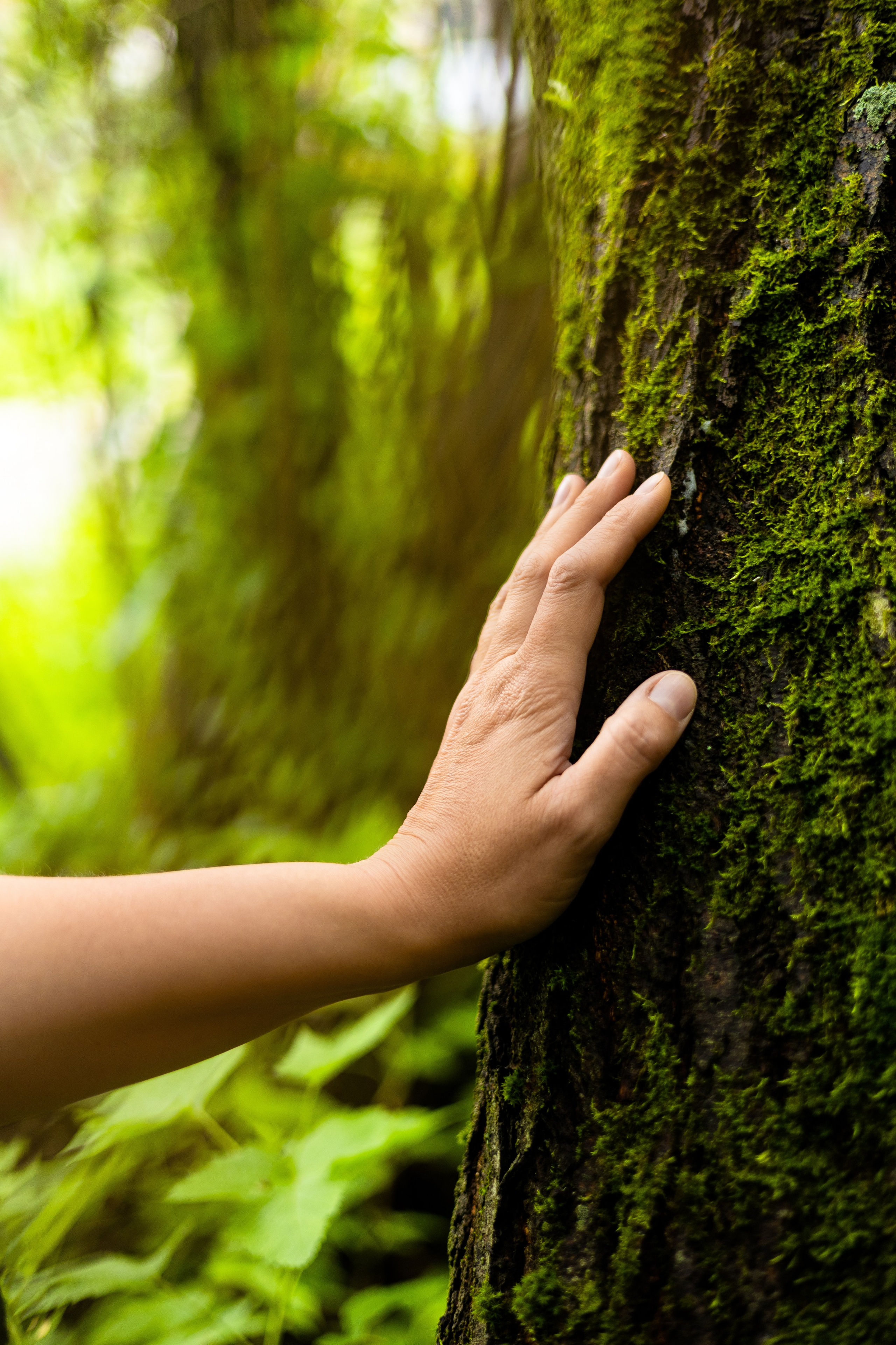 Индивидуальная фотосессия. Елена. Фотограф Самойлова Анна Архангельск, Северодвинск