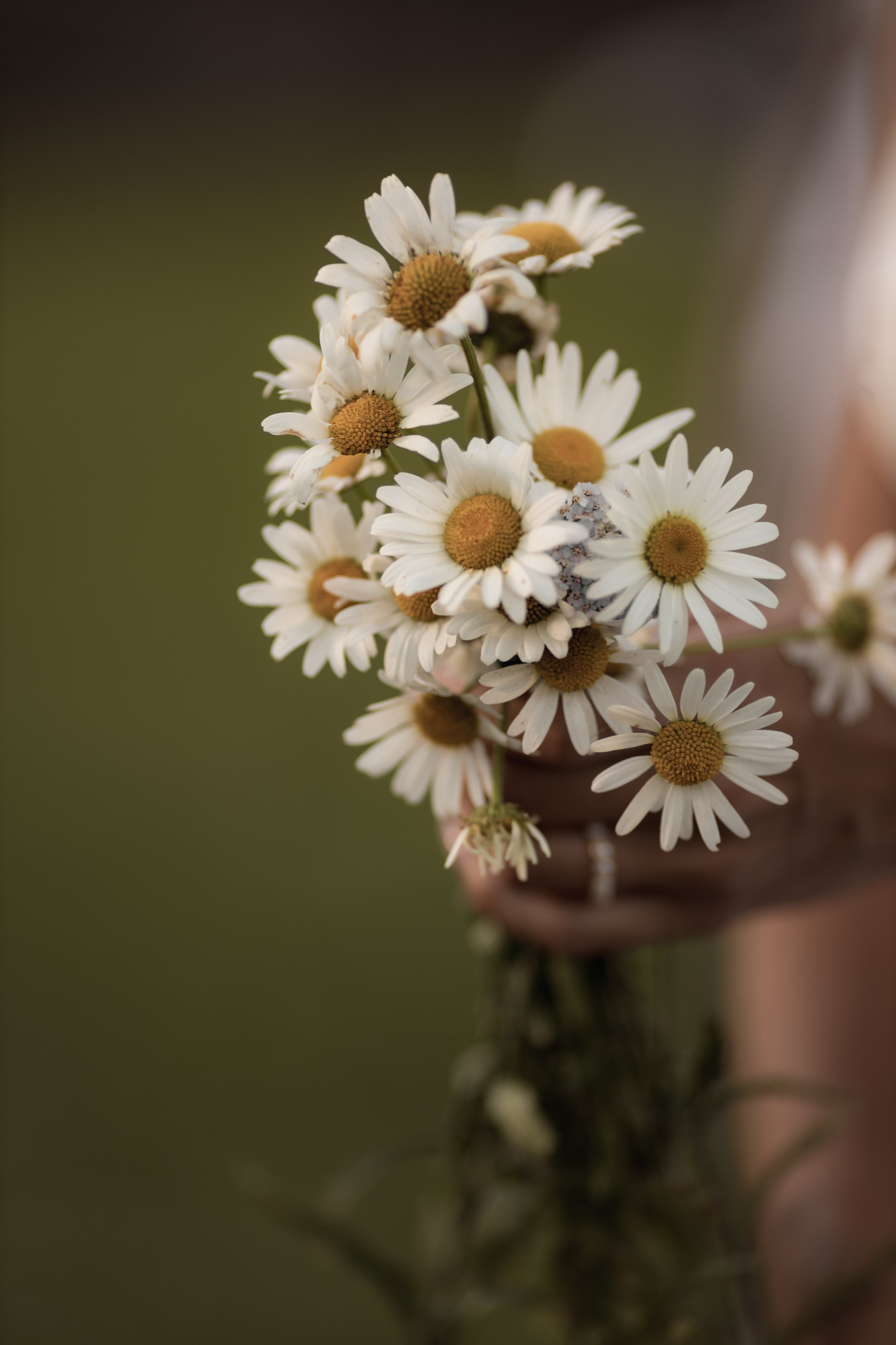4 поколения. Семейный и свадебный фотограф Лилия Матонина | Ангарск, Иркутск, Усолье-Сибирское, Байкал (Листвянка, Ольхон), Иркутская область