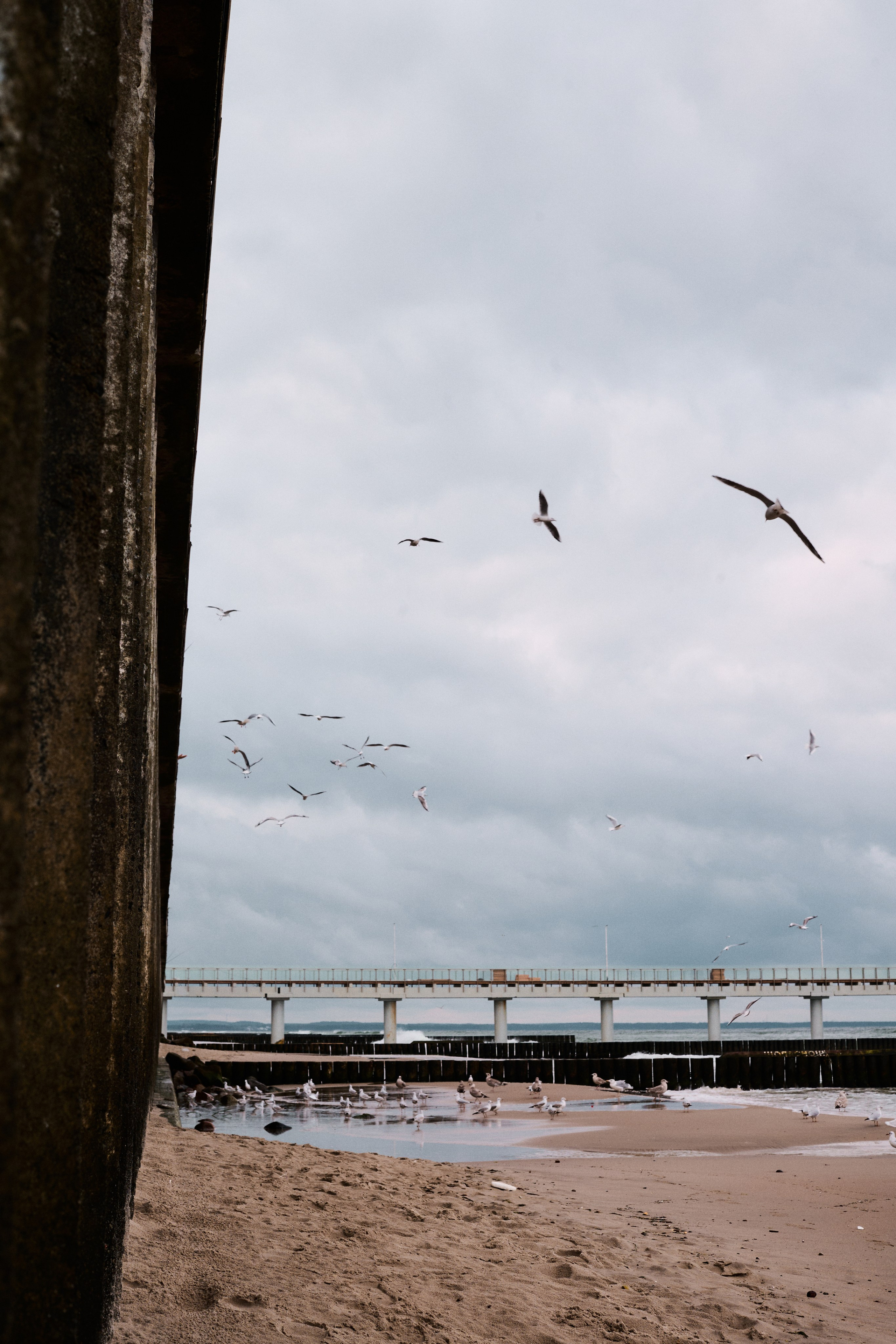 Kaliningrad 2025. Лиза Сытикова. Фотограф. Москва