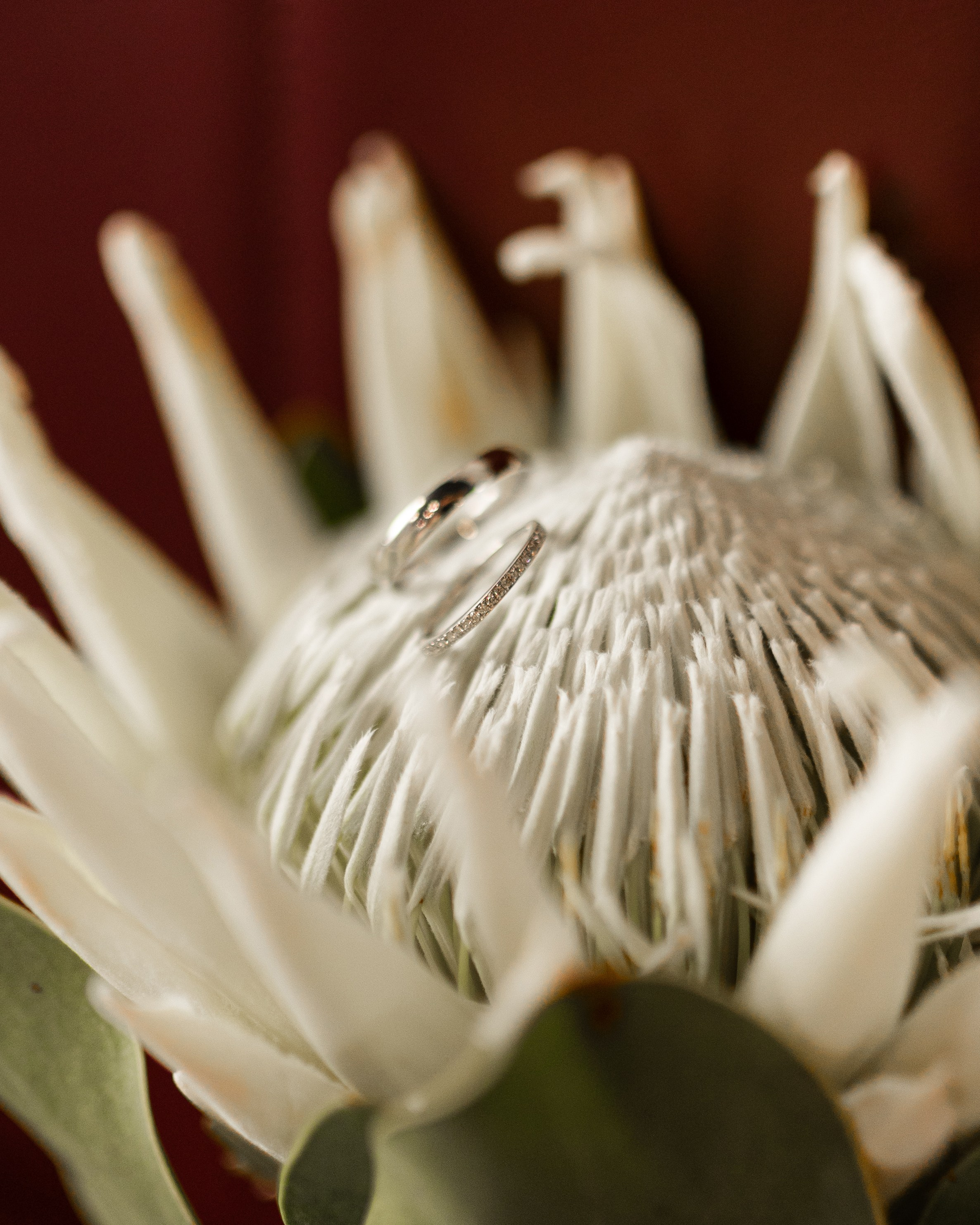 Свадебный и портретный фотограф в Москве Анна Плавская