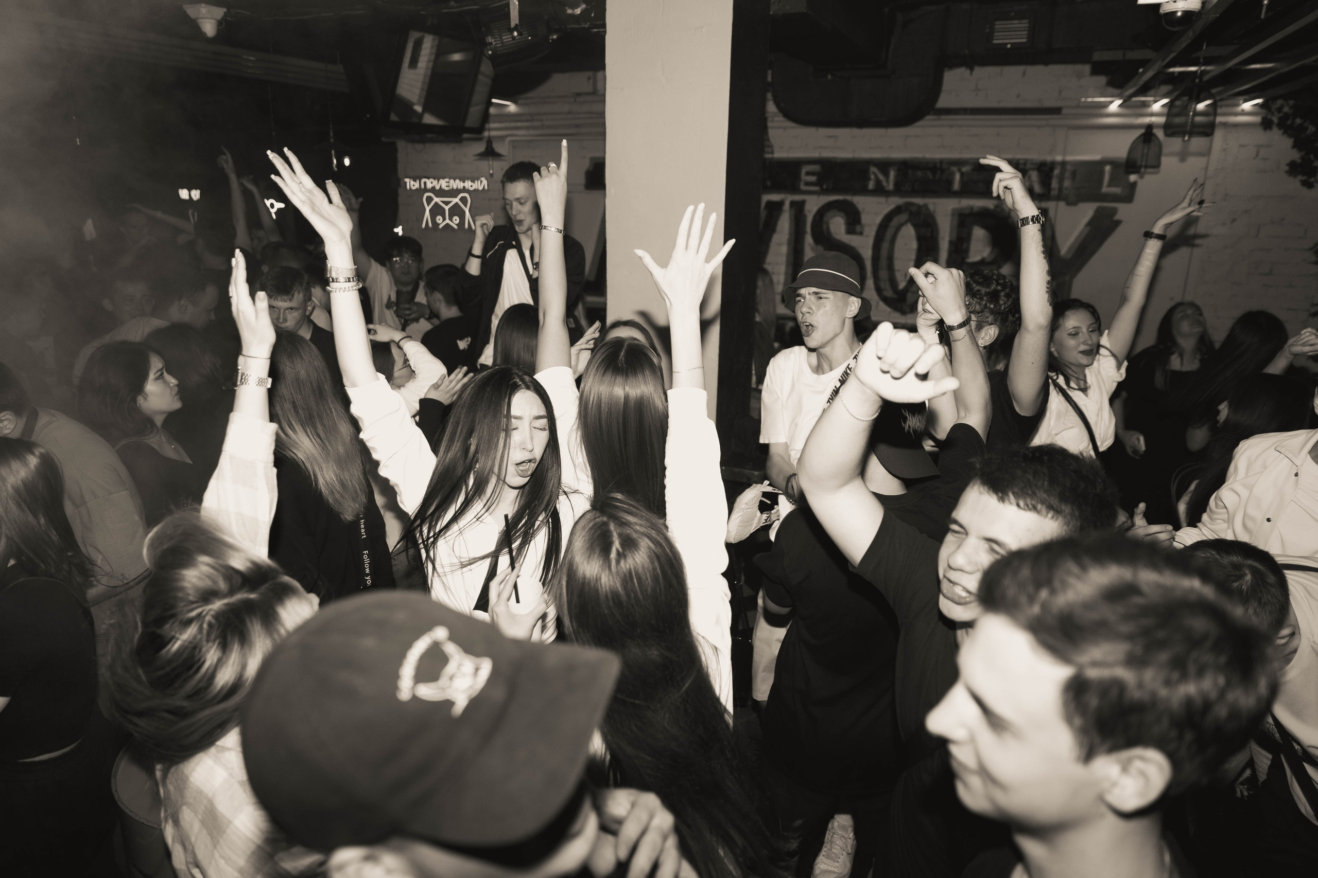 Mishka-bar 2. _Carpe diem_