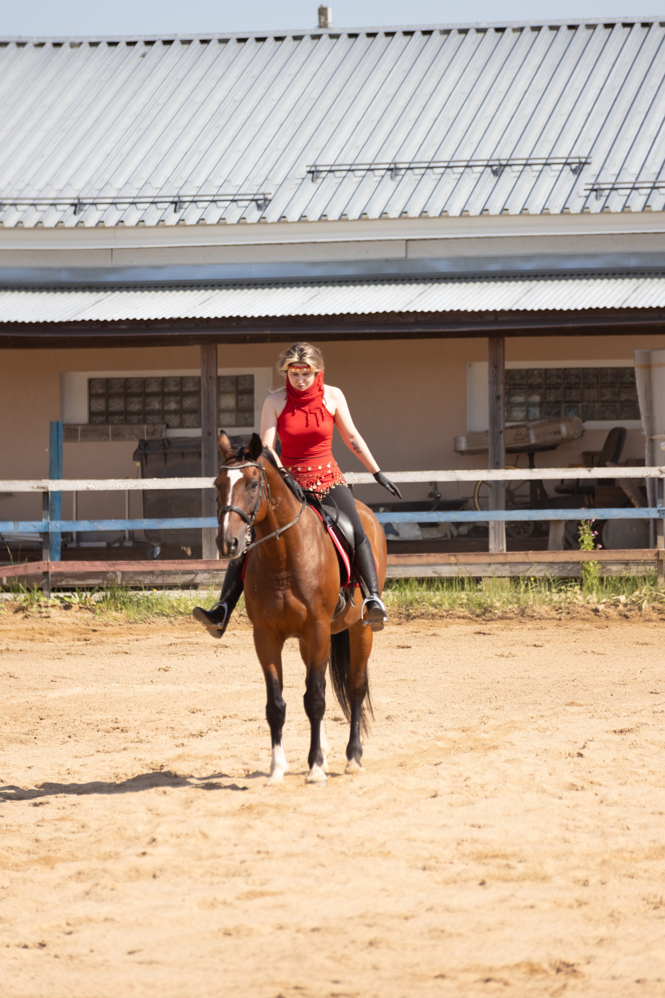 Конюшня. Фотограф в Москве и Истре