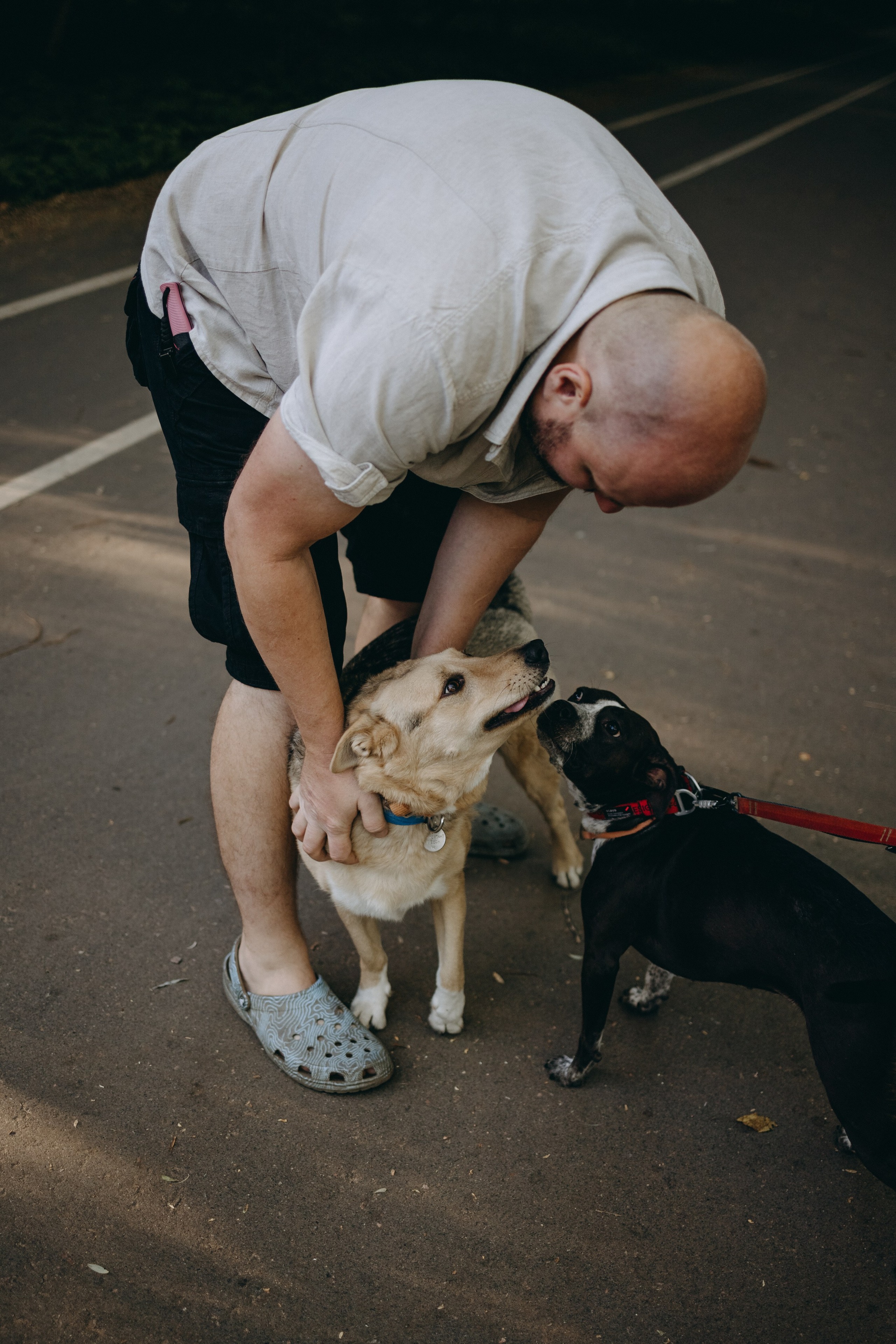 Татьяна, Сергей и их Булочка и Пончик. Фотограф — Анималист | Санкт-Петербург