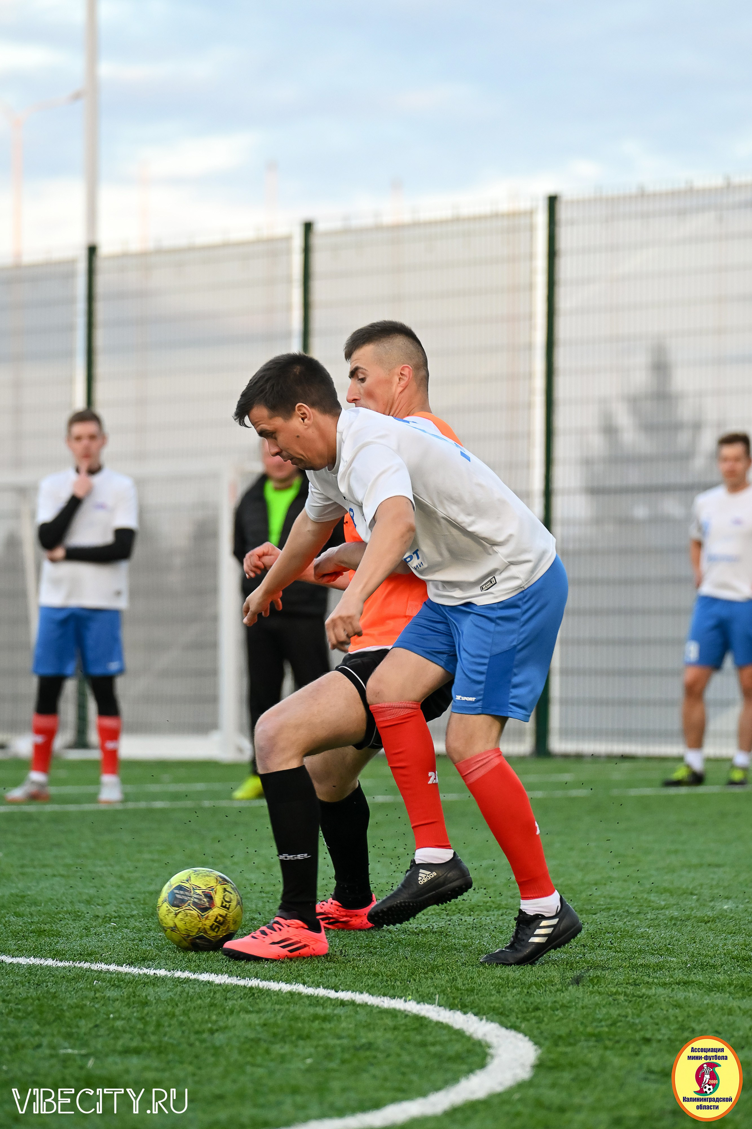 ИГРЫ МИНИ-ФУТБОЛЬНОЙ И КОРПОРАТИВНОЙ ЛИГИ. VIBECITY.RU Вайб Сити Ру Фоторепортажи Фотоотчеты Калининград