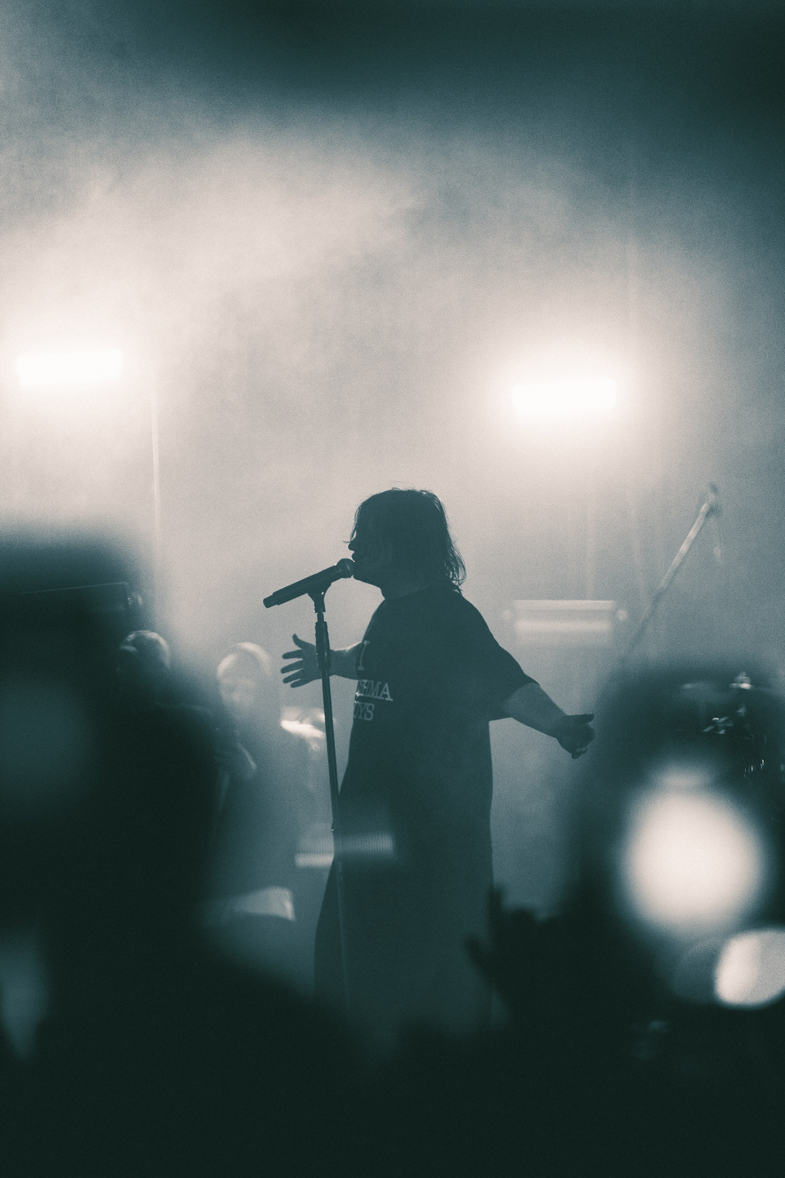 SALUKI. PASHAHARCE PHOTOGRAPHER & VIDEOGRAPHER