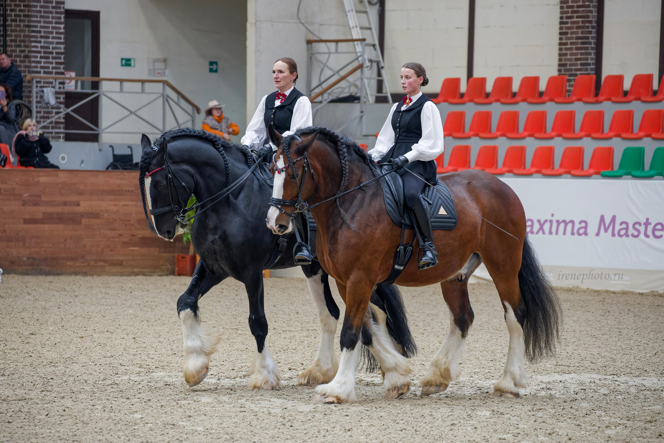 Конная Россия 2024. Irenephoto.ru